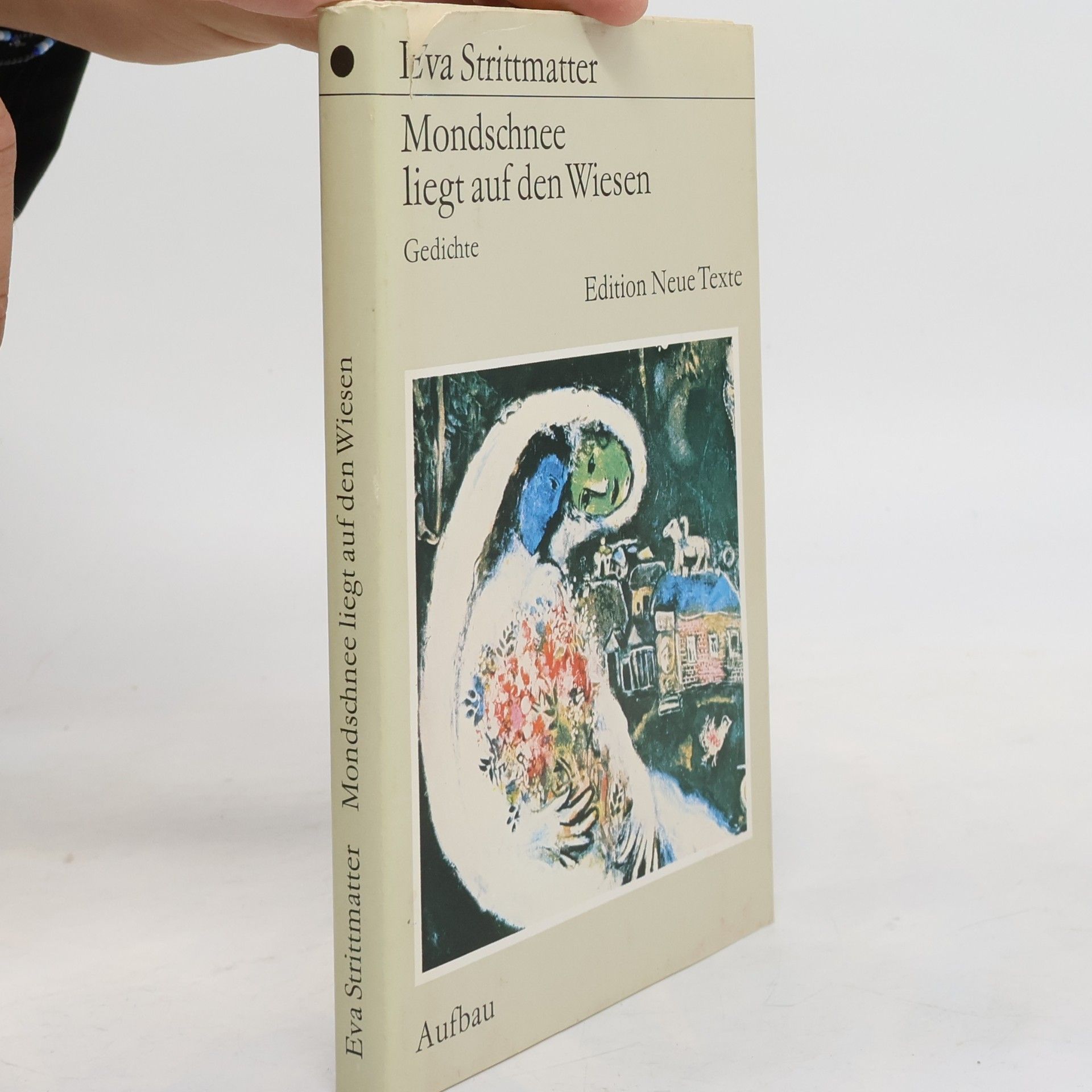 Eva Strittmatter Mondschnee liegt auf den Wiesen