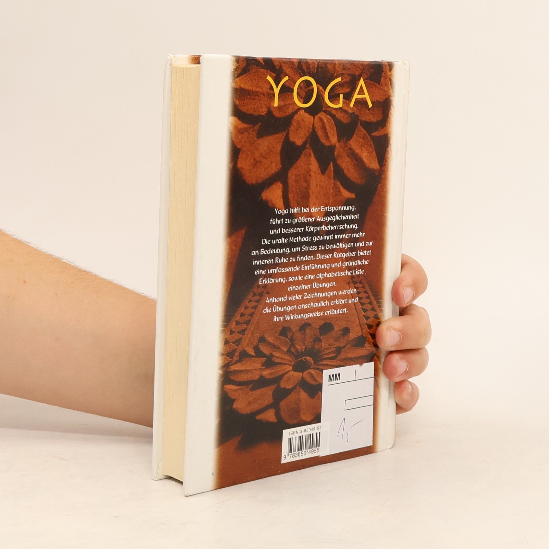 Ina Friedrich Yoga