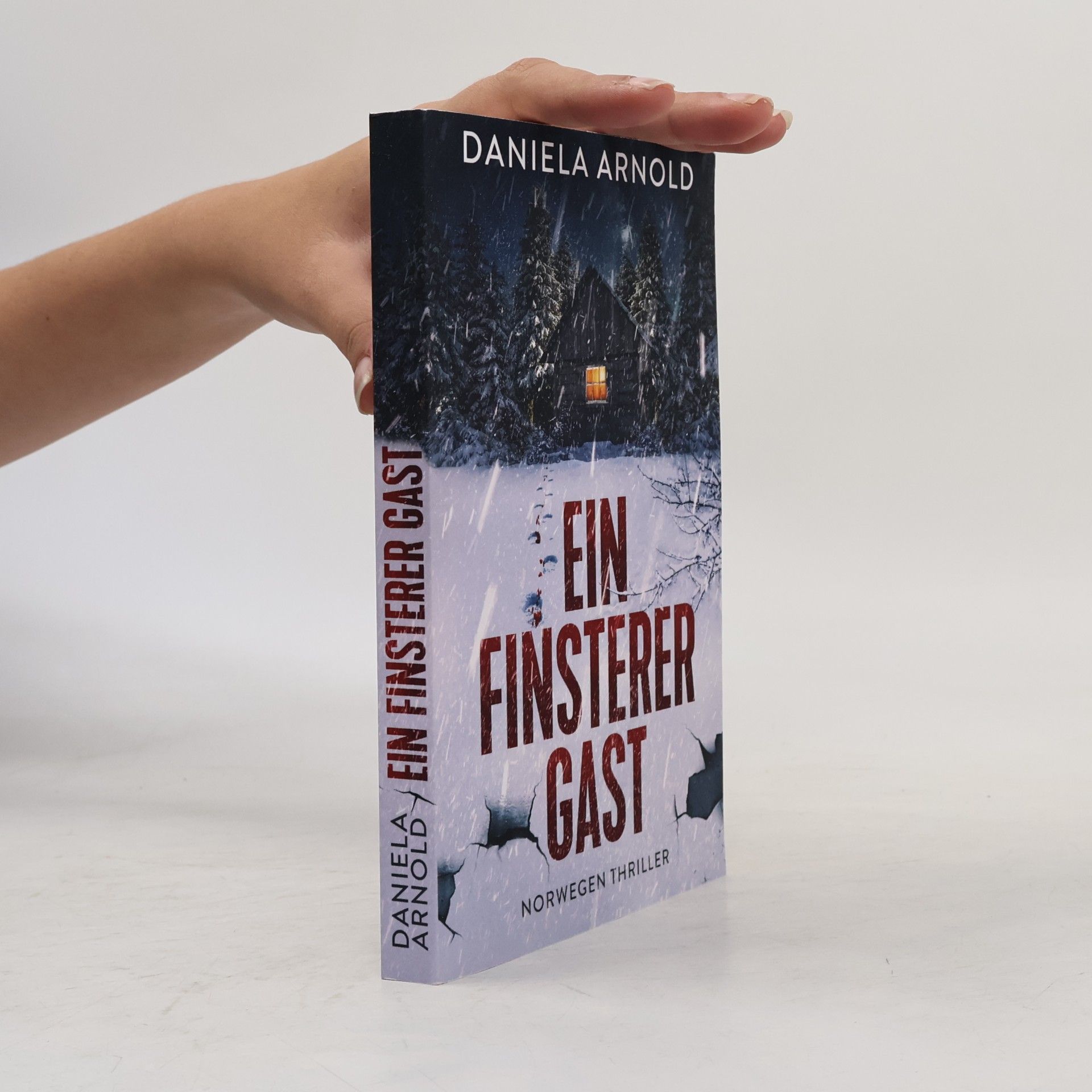 Daniela Arnold Ein finsterer Gast