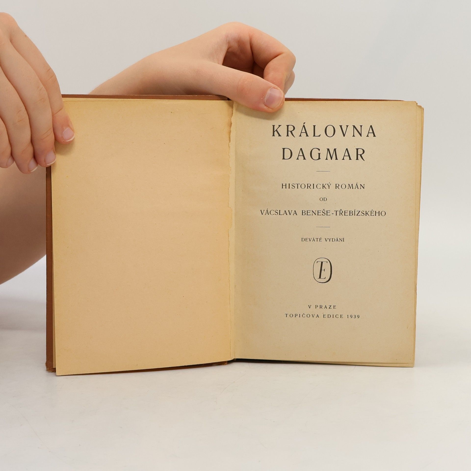 Václav Beneš Třebízský Královna Dagmar