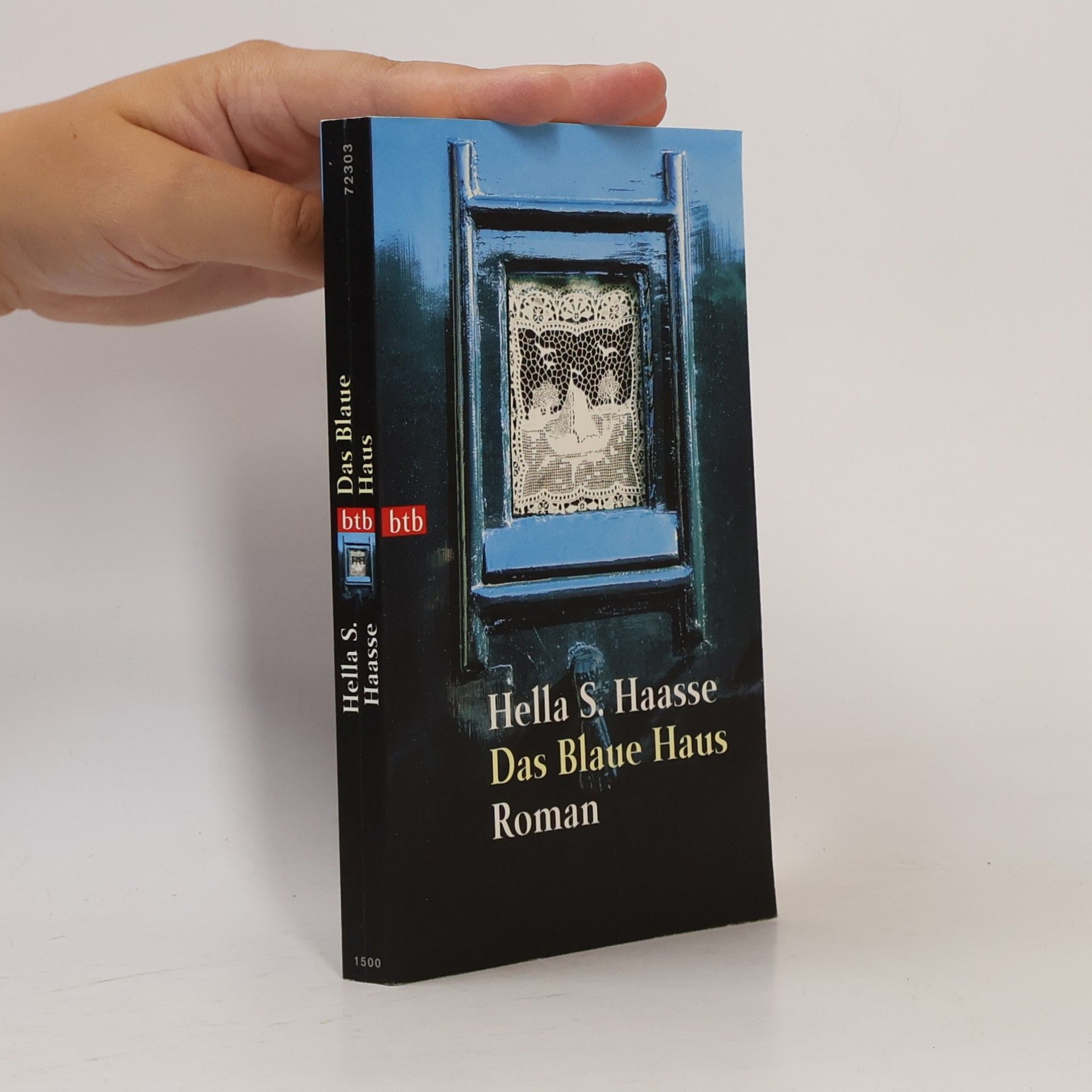 Hella Haasse Das blaue Haus