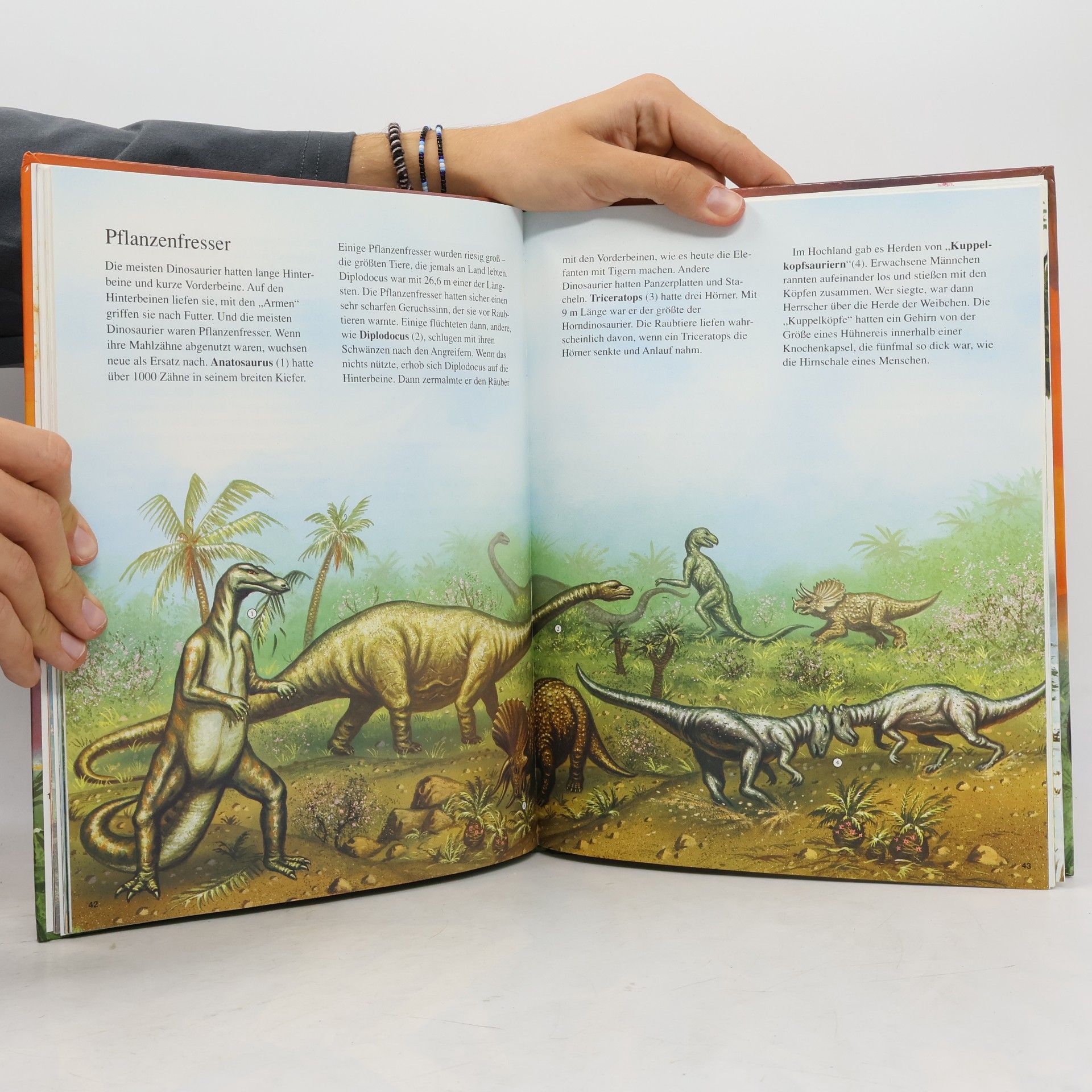 Autorenkollektiv Die Welt der Dinosaurier