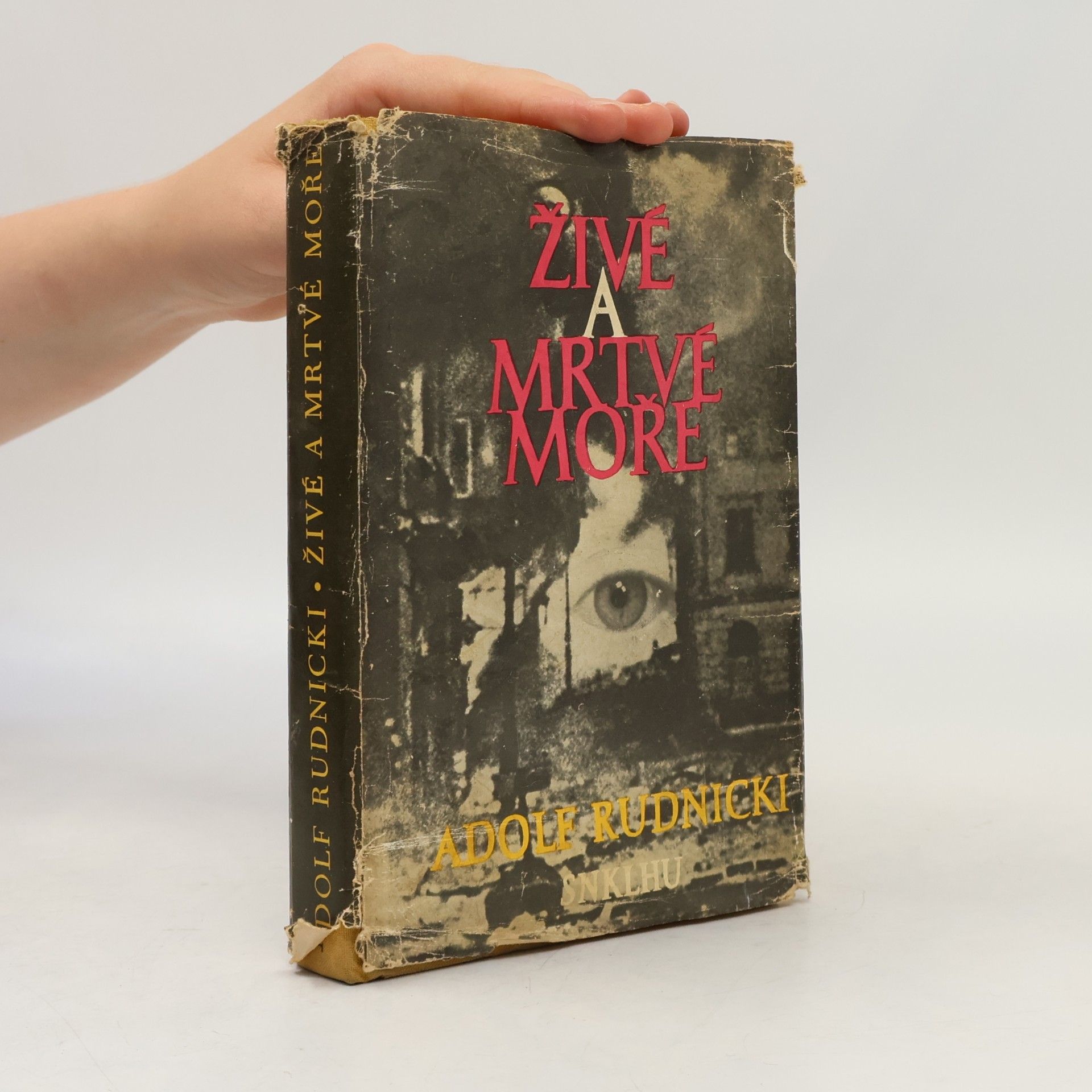 Rudnicki Adolf Živé a mrtvé moře