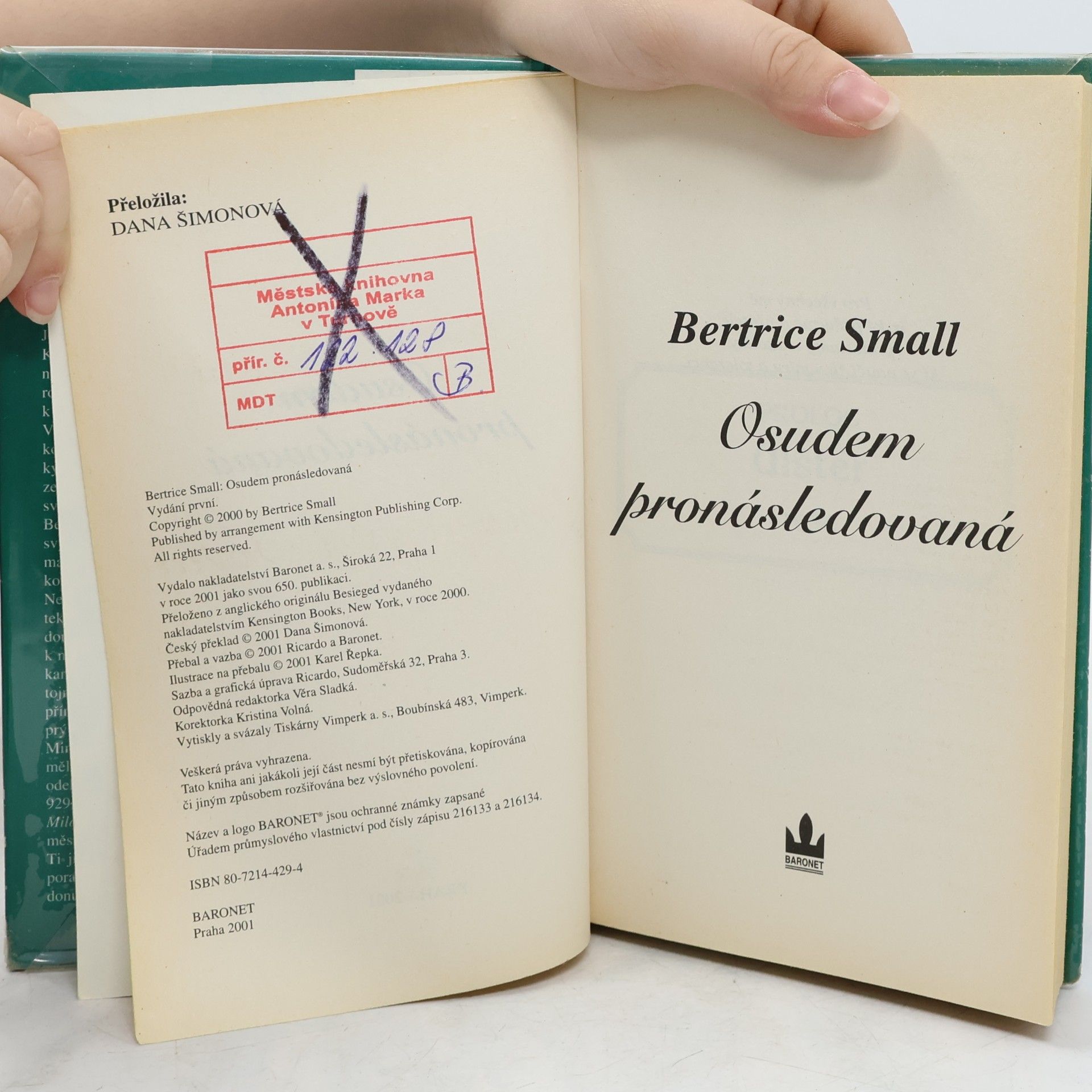 Bertrice Small Osudem pronásledovaná