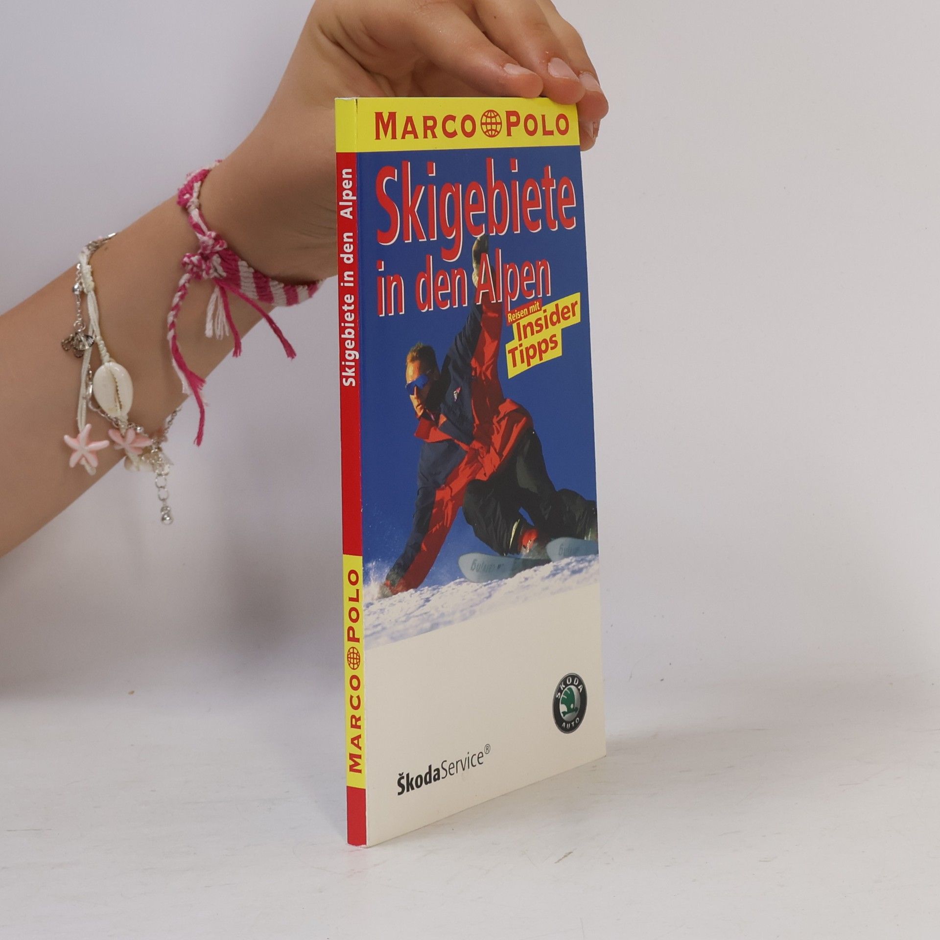 Autorenkollektiv Skigebiete in den Alpen