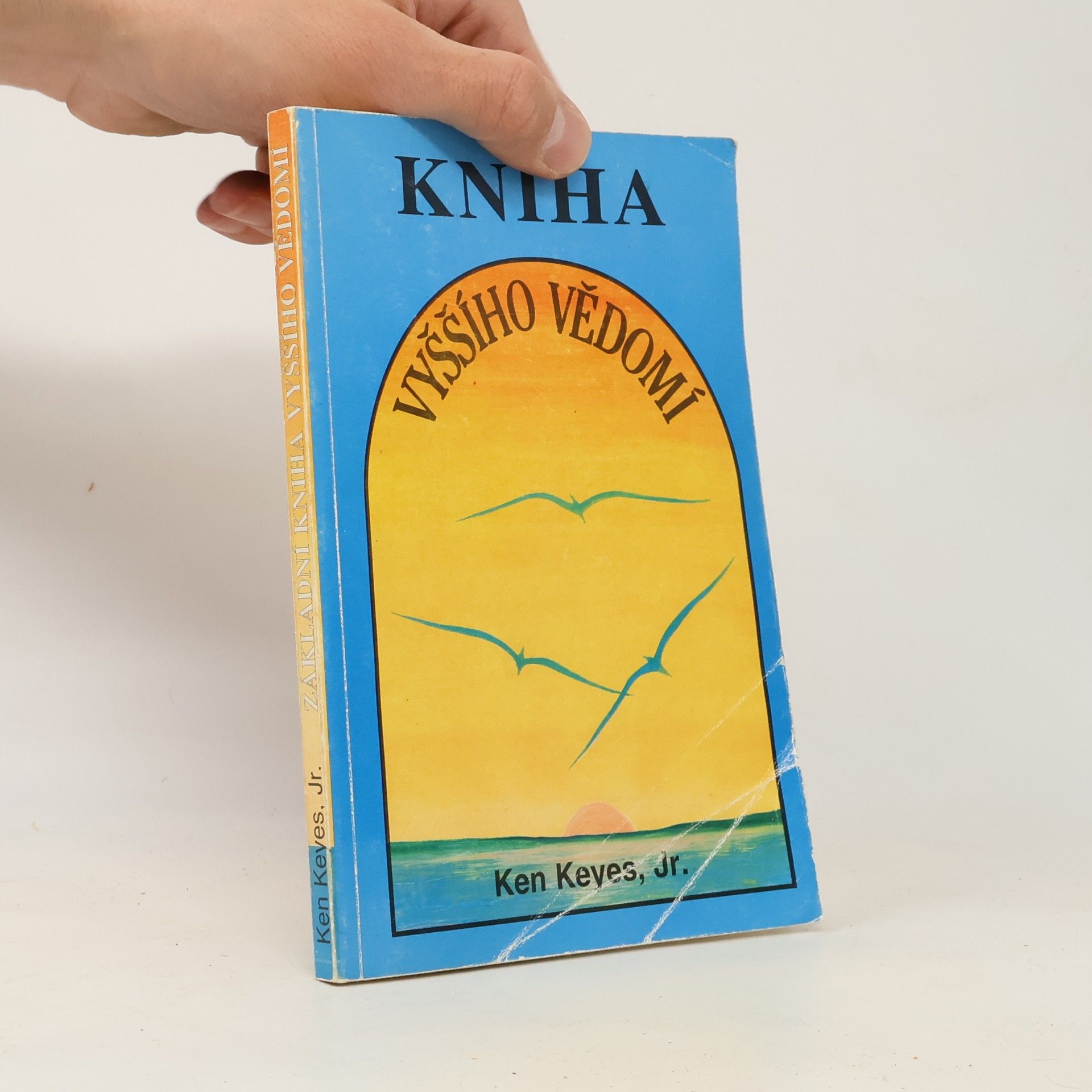 Ken Keyes Základní kniha vyššího vědomí