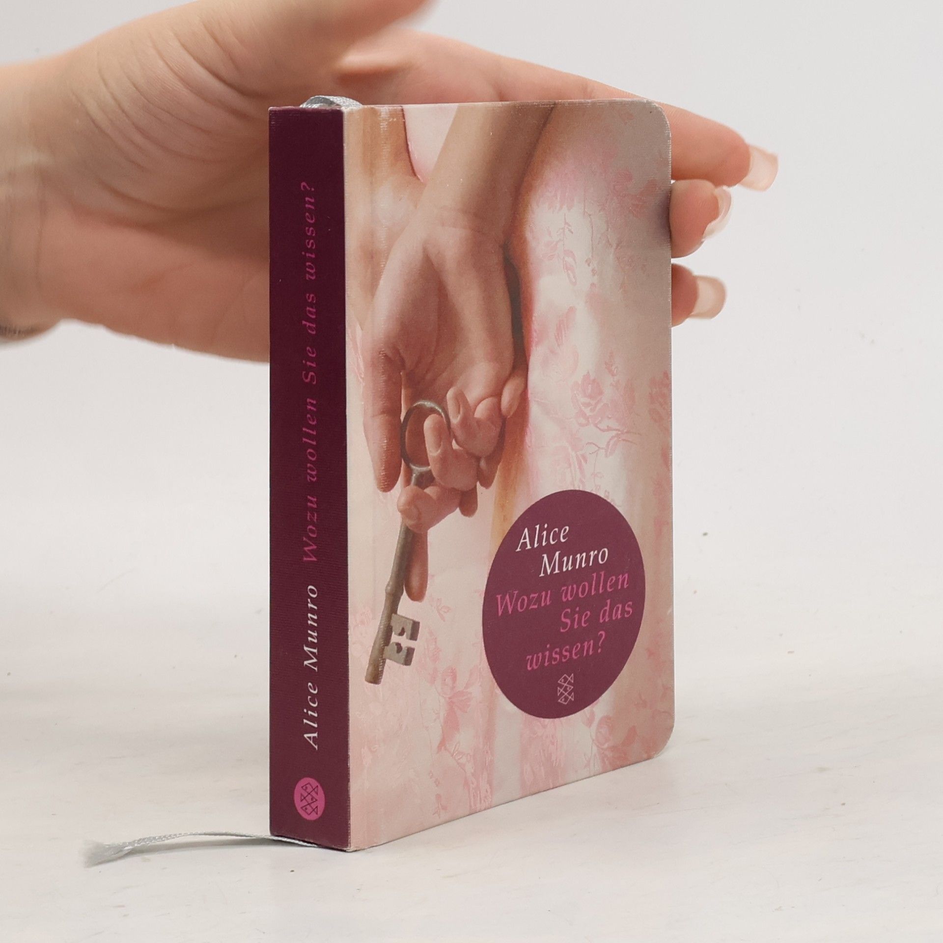 Alice Munro Wozu wollen Sie das wissen?