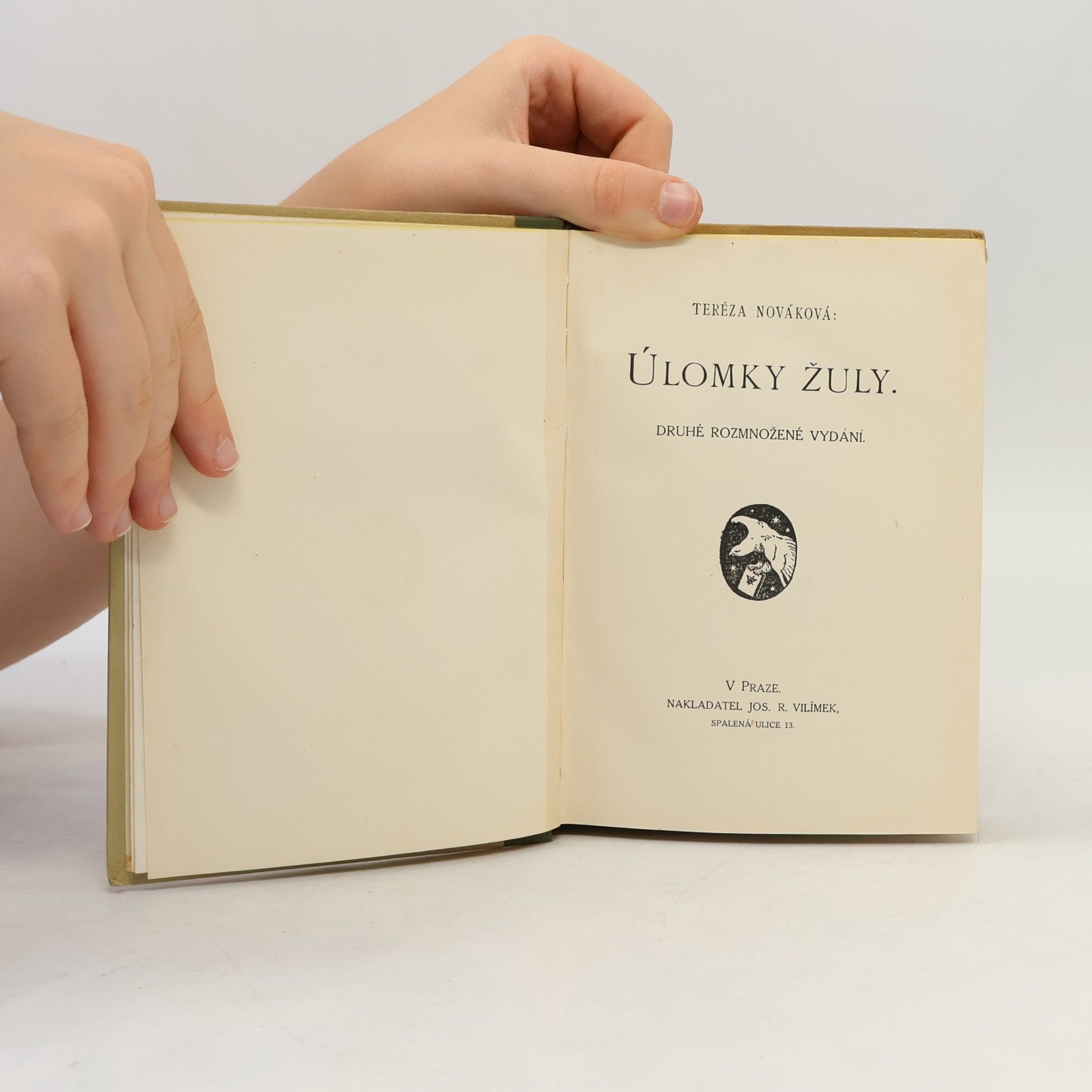 Teréza Nováková Úlomky žuly