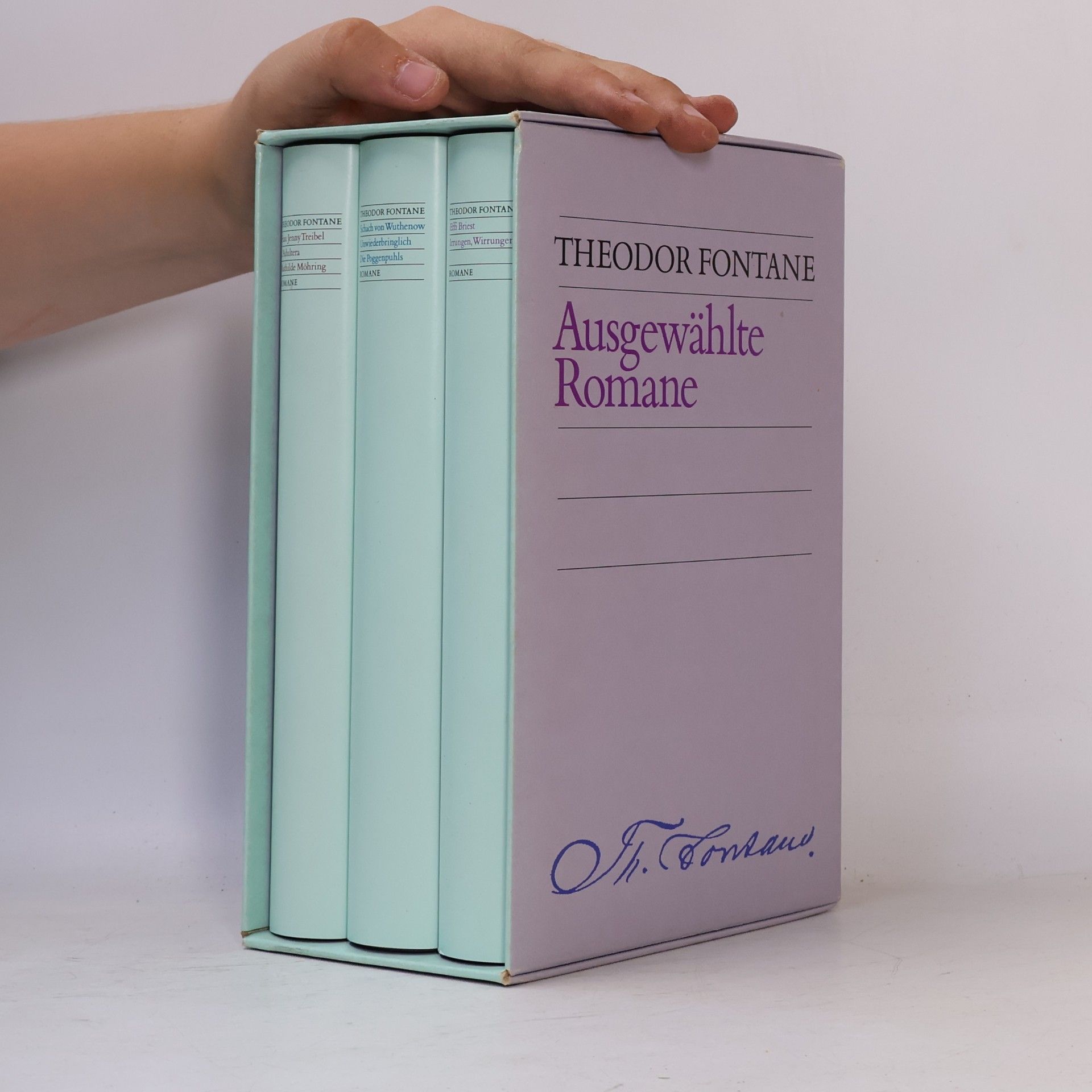 Theodor Fontane Ausgewahlte Romane