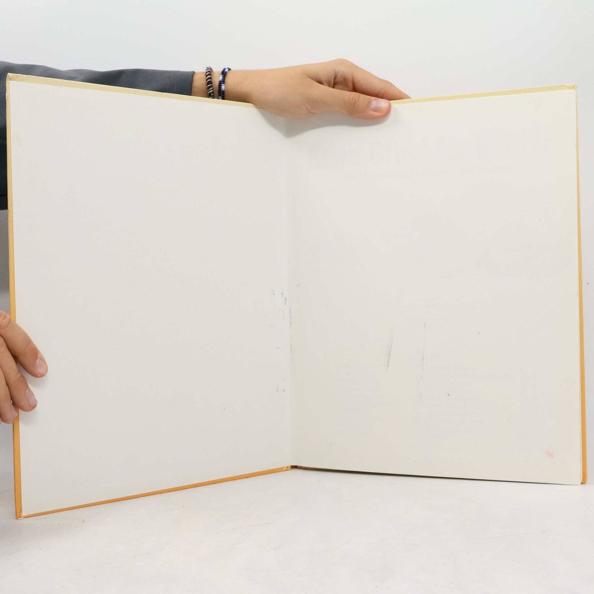 Kim Woolley Erste Bibel für Kinder