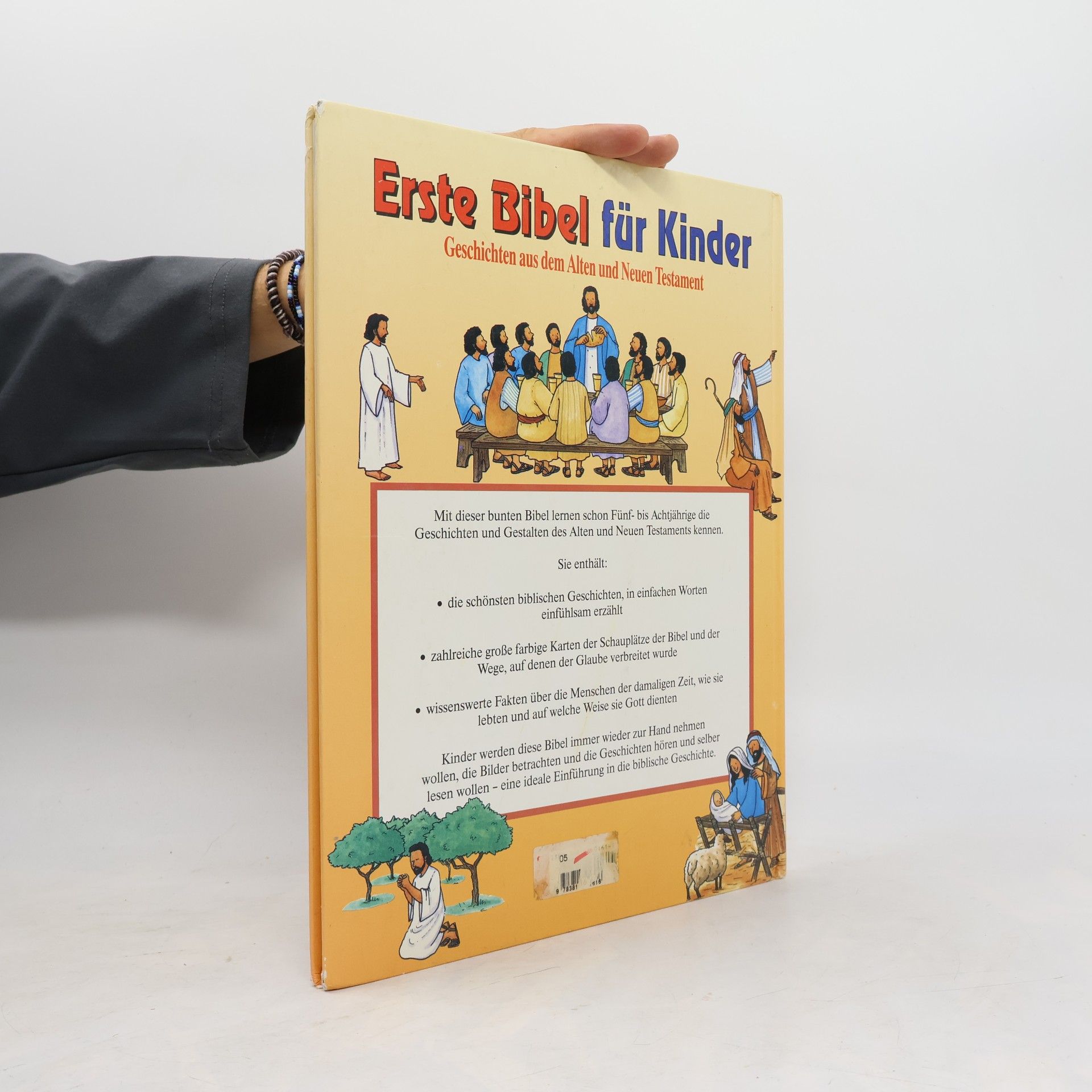 Kim Woolley Erste Bibel für Kinder