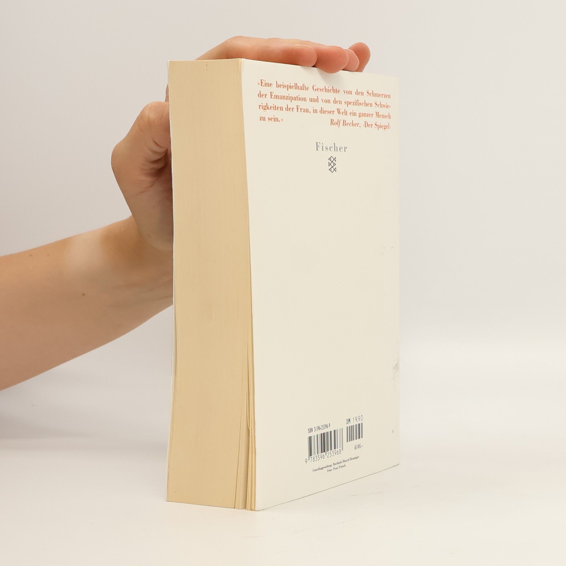 Doris Lessing Das goldene Notizbuch
