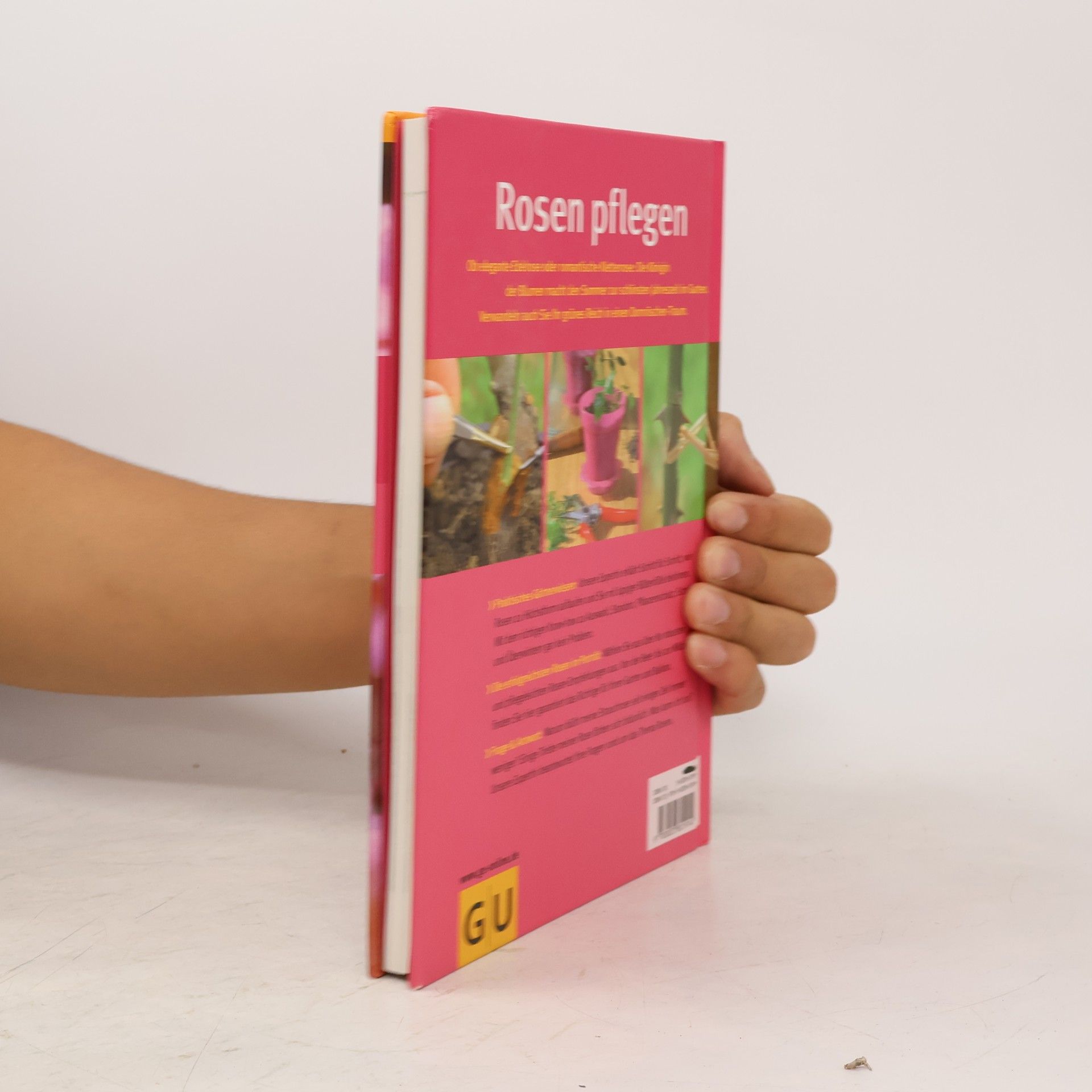 Silke Kluth Rosen pflegen