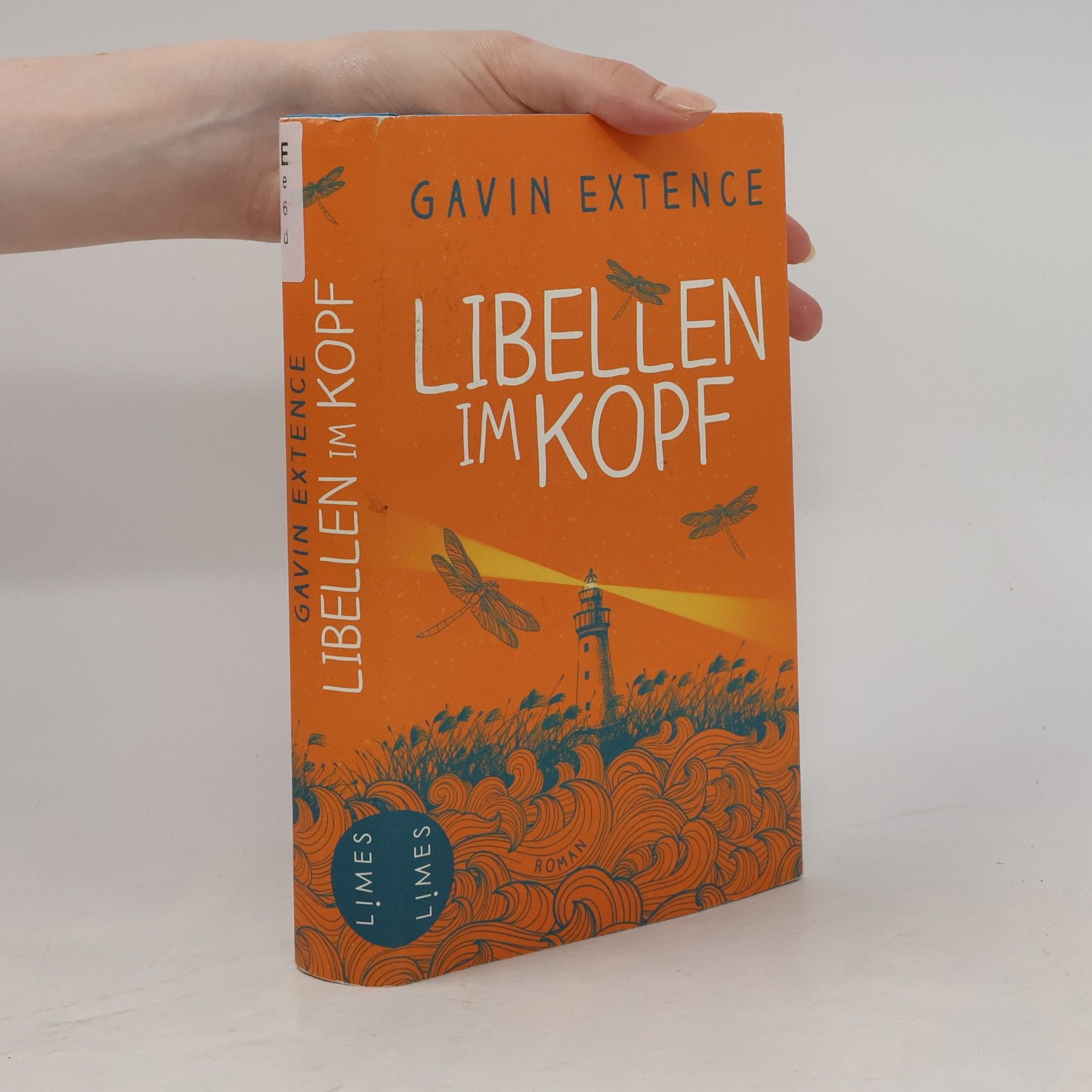 Gavin Extence Libellen im Kopf