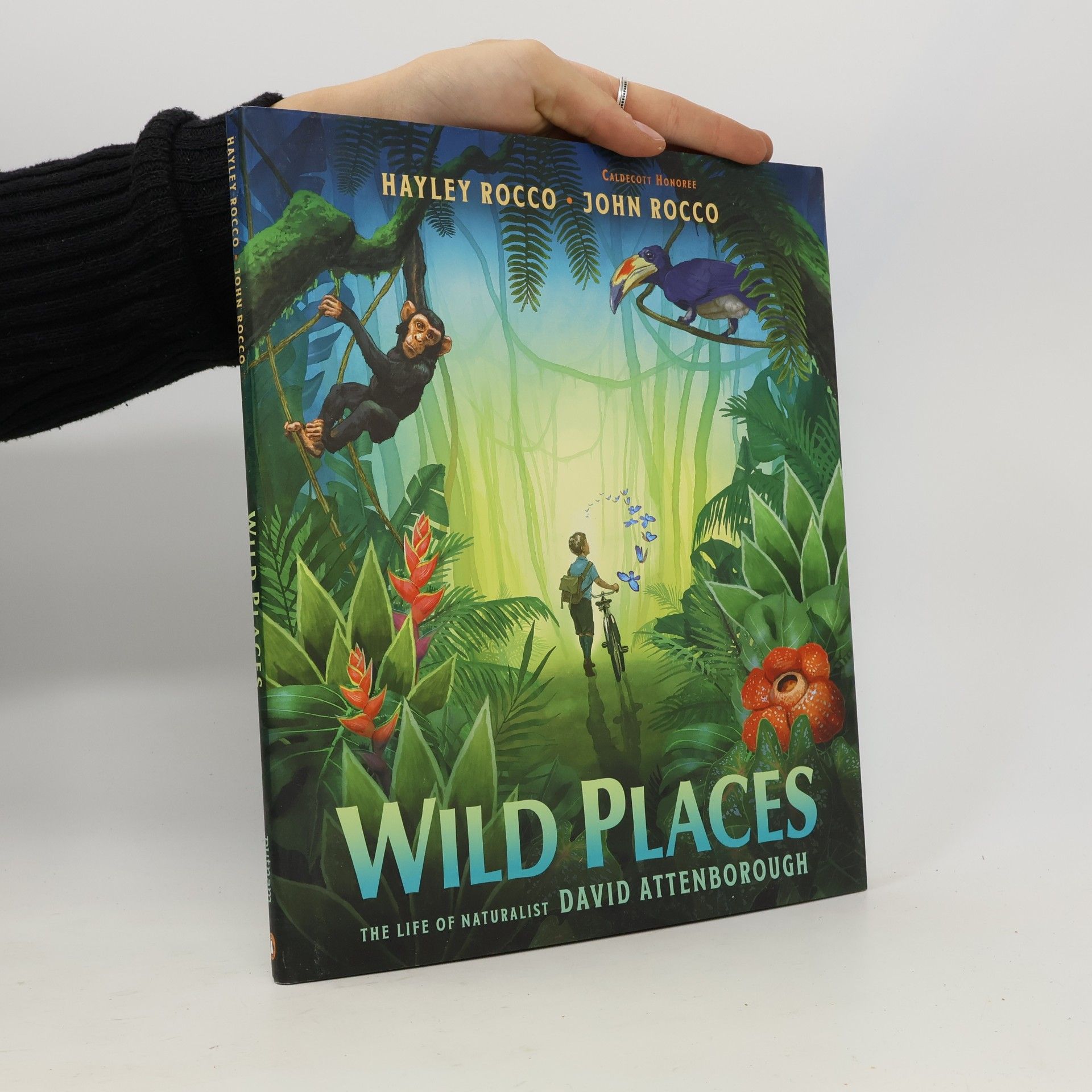 Hayley Rocco Wild Places
