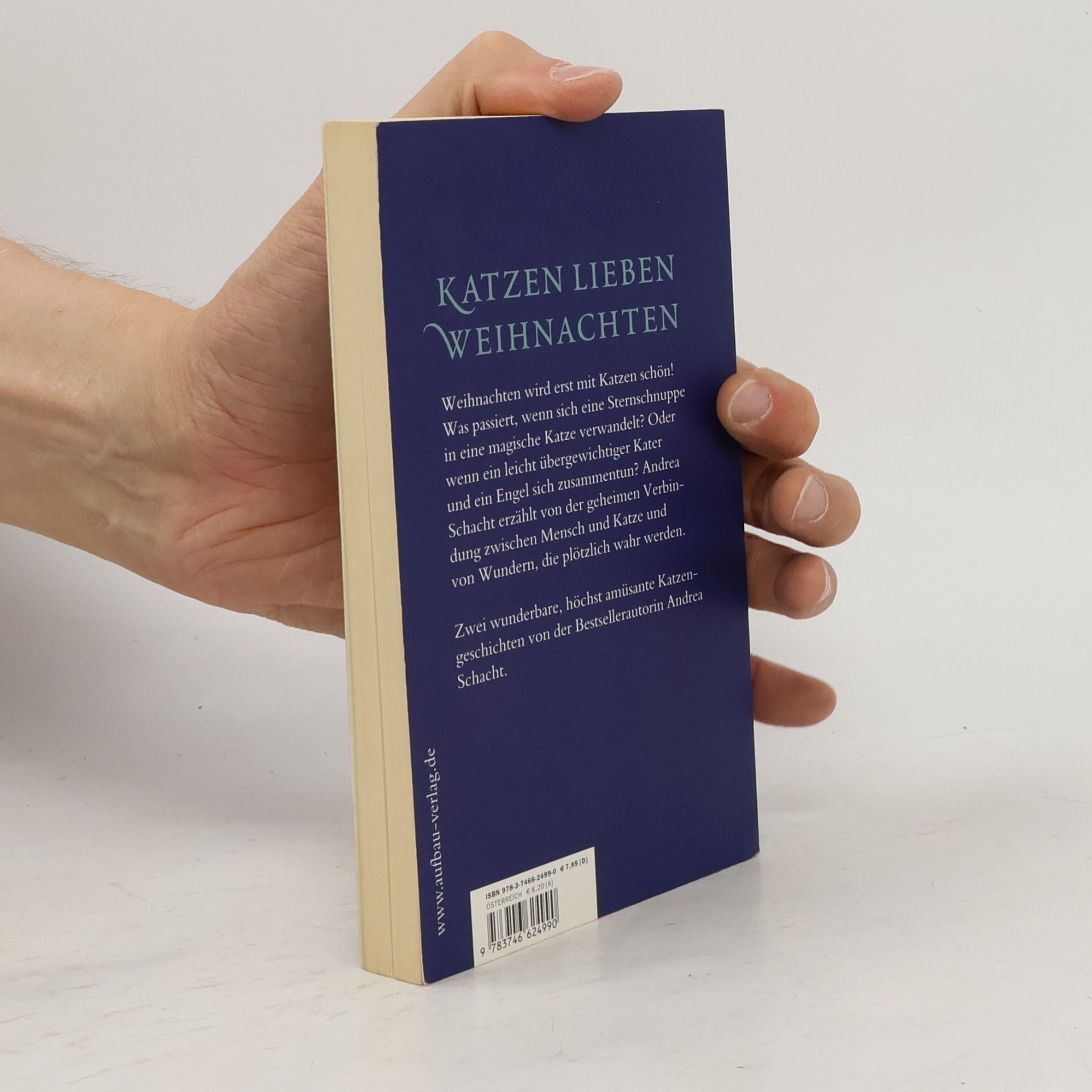 Andrea Schacht Katzenweihnacht