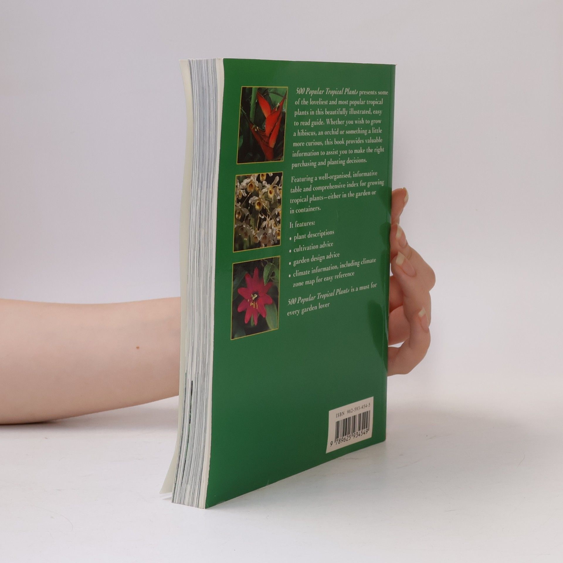 Periplus Editions Staff 500 Popular Tropical Plants