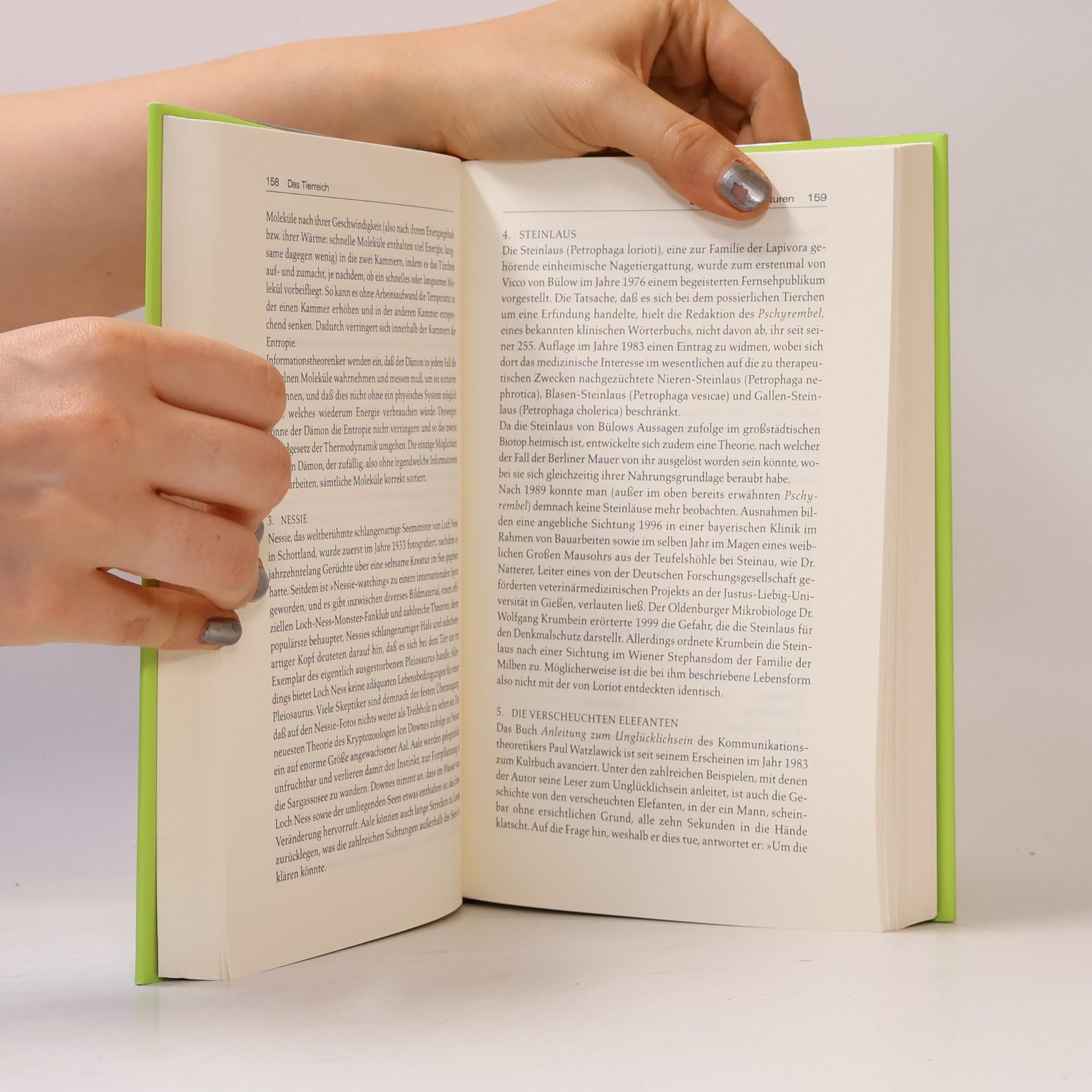David Wallechinsky Das große Buch der Listen