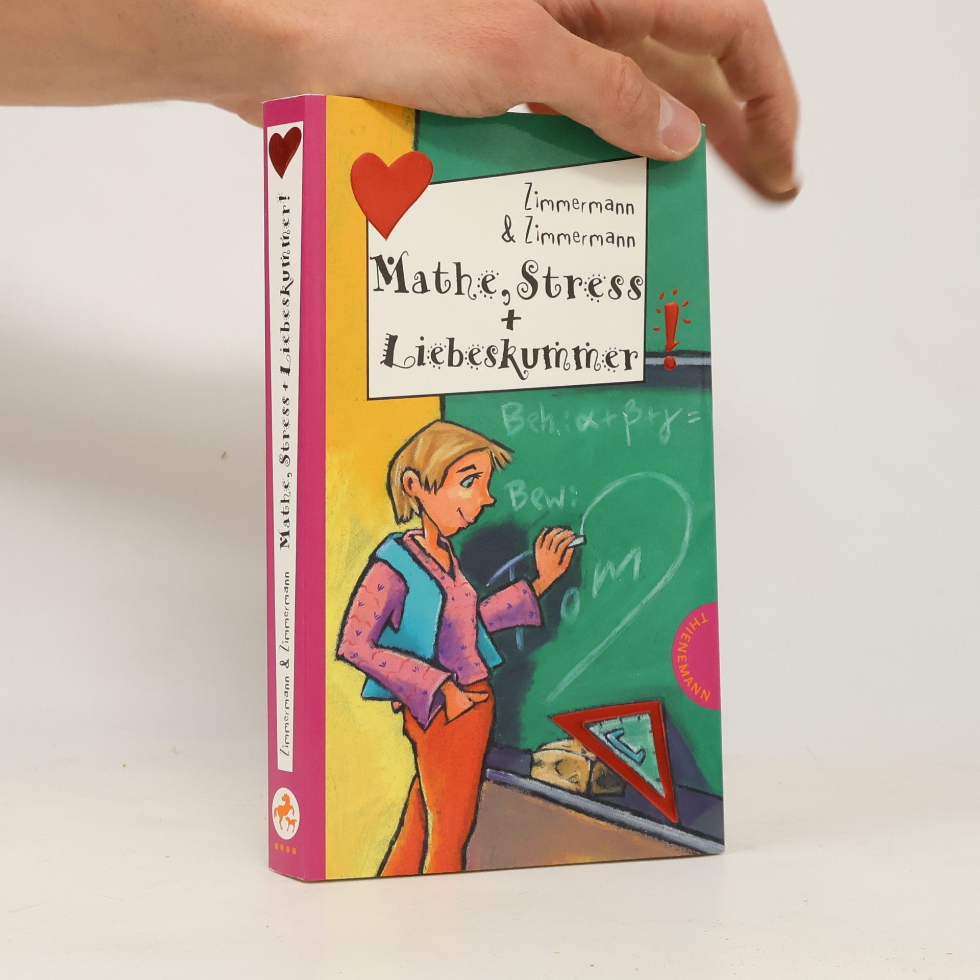 Hans Zimmermann Mathe, Stress + Liebeskummer!