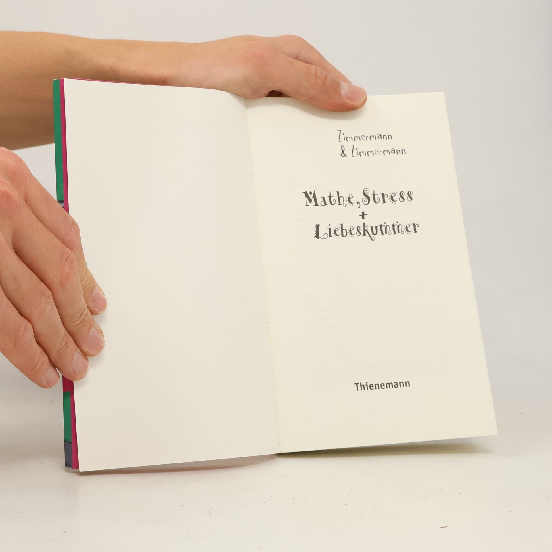 Hans Zimmermann Mathe, Stress + Liebeskummer!