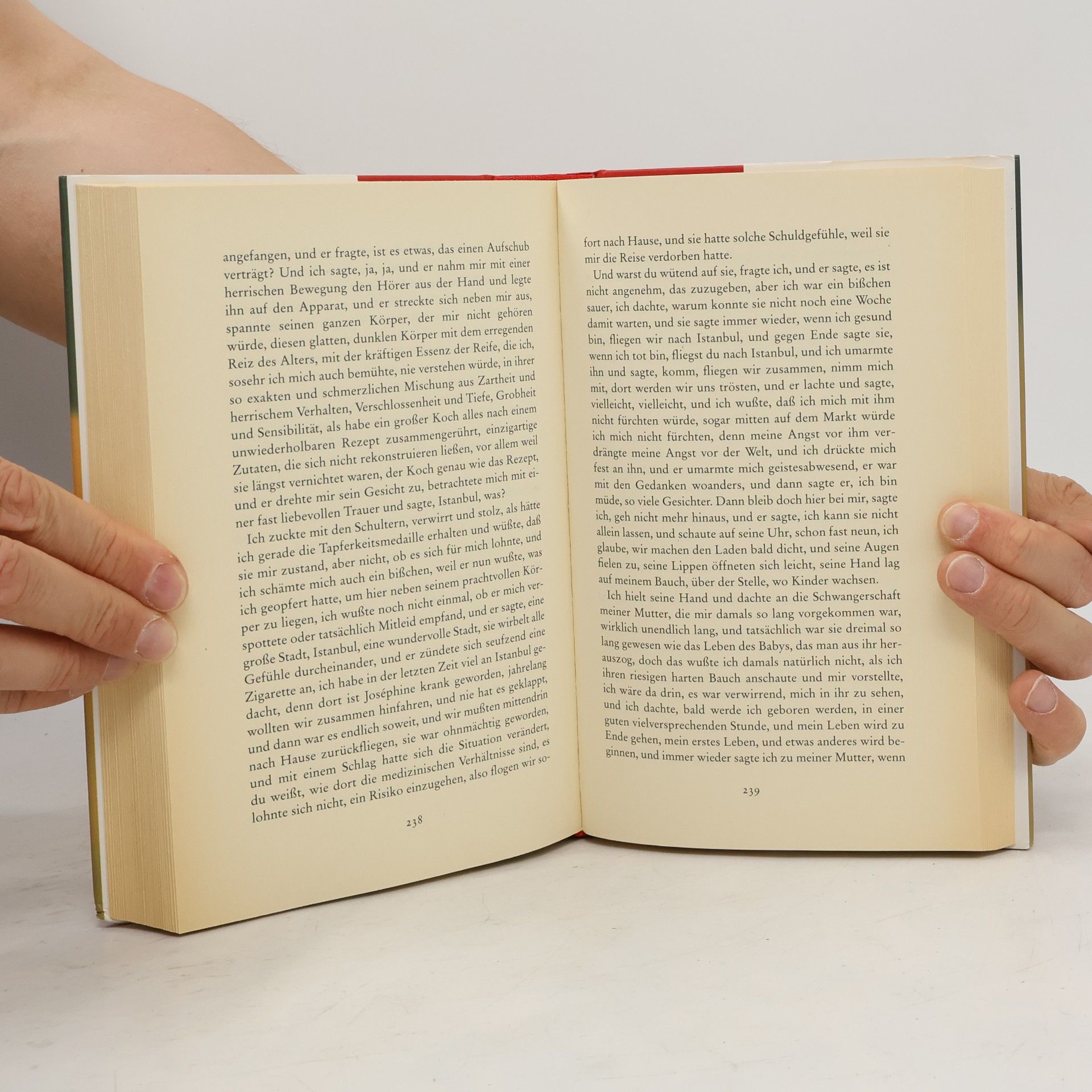 Zeruya Shalev Liebesleben