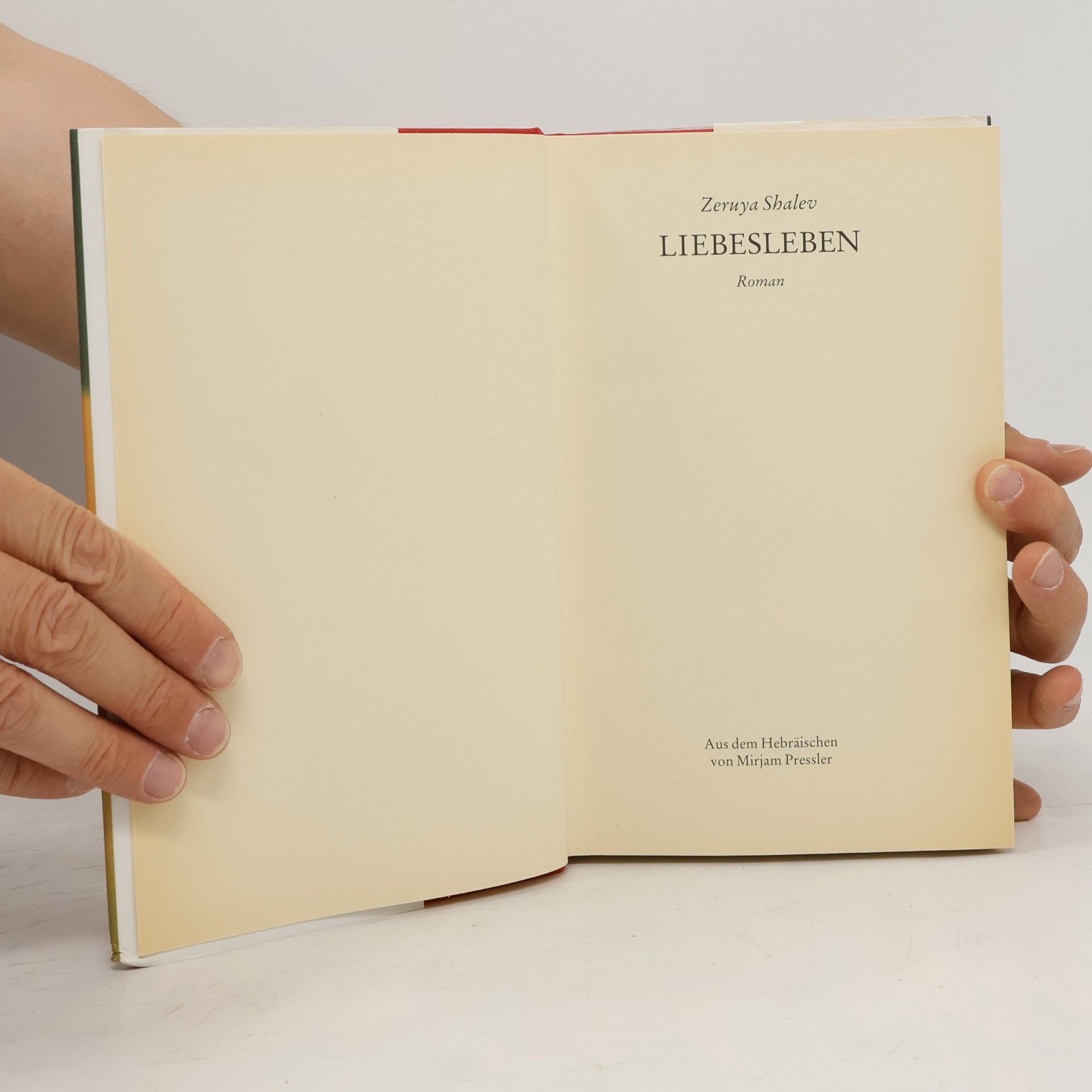 Zeruya Shalev Liebesleben