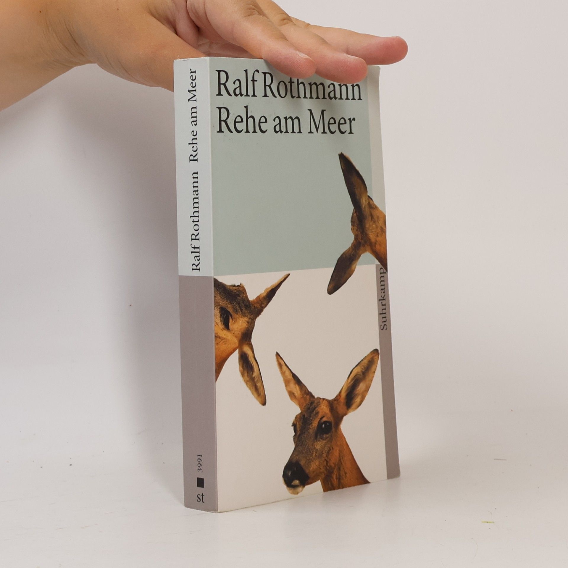 Ralf Rothmann Rehe am Meer
