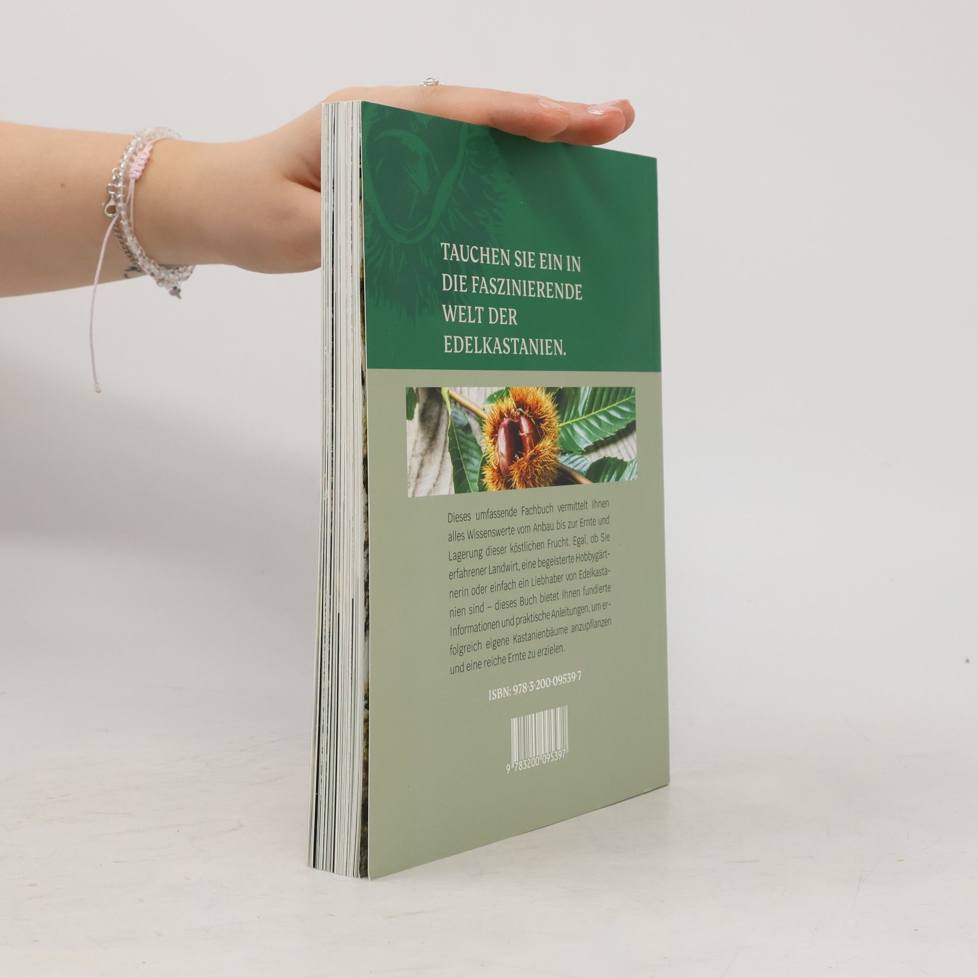 Hans Lierzer Das große Buch der Edelkastanie