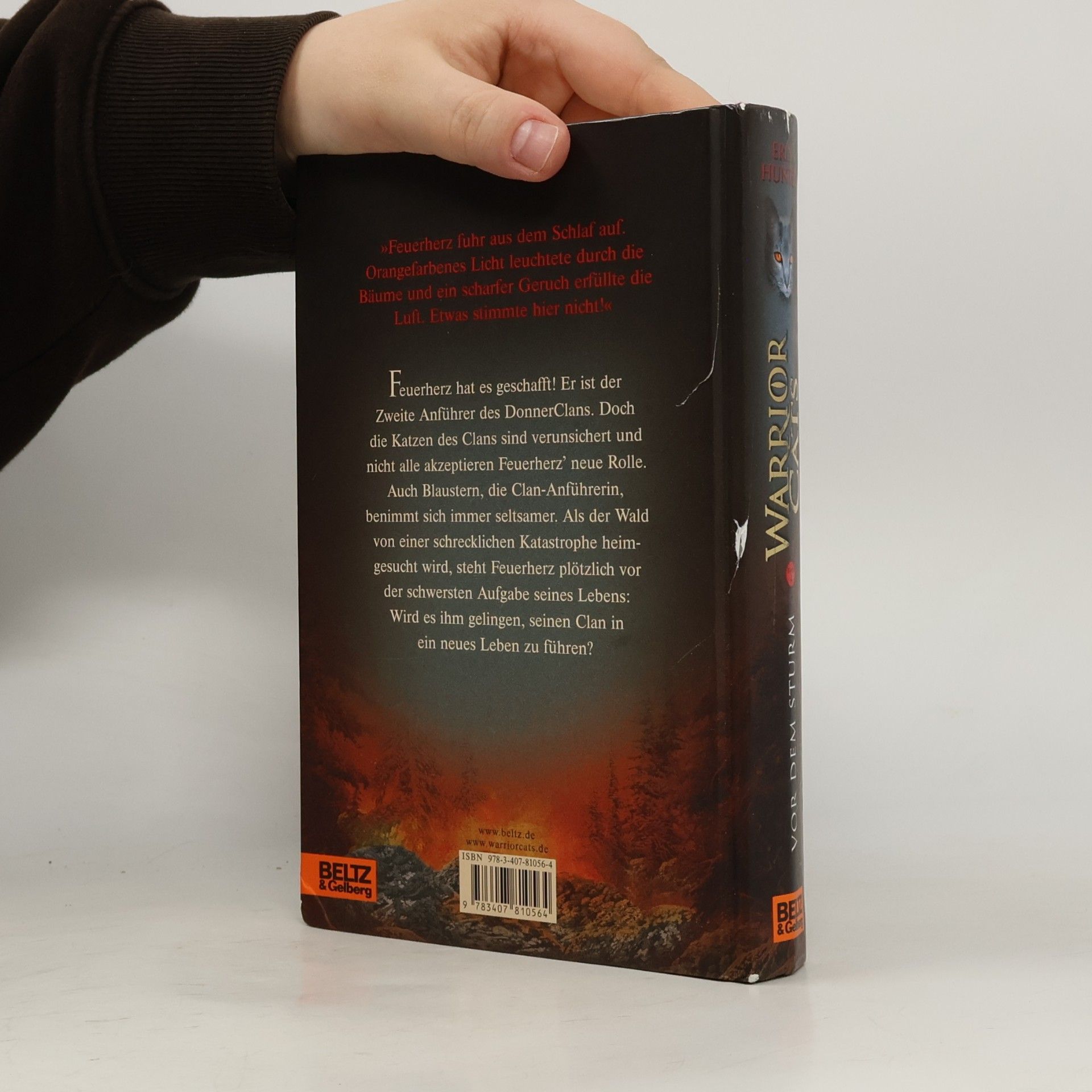 Erin Hunter Warrior Cats. Vor dem Sturm