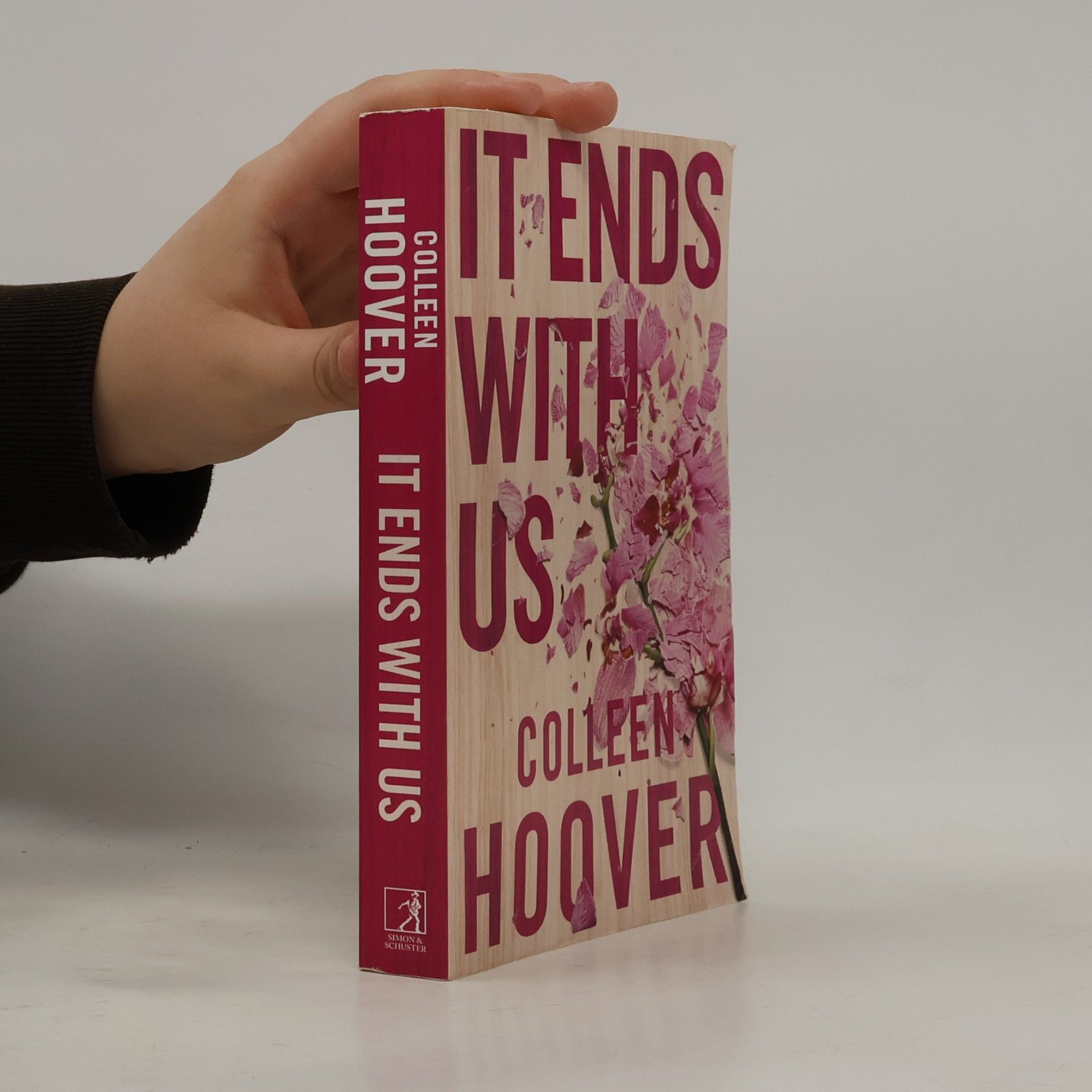 Colleen Hoover It Ends With Us
