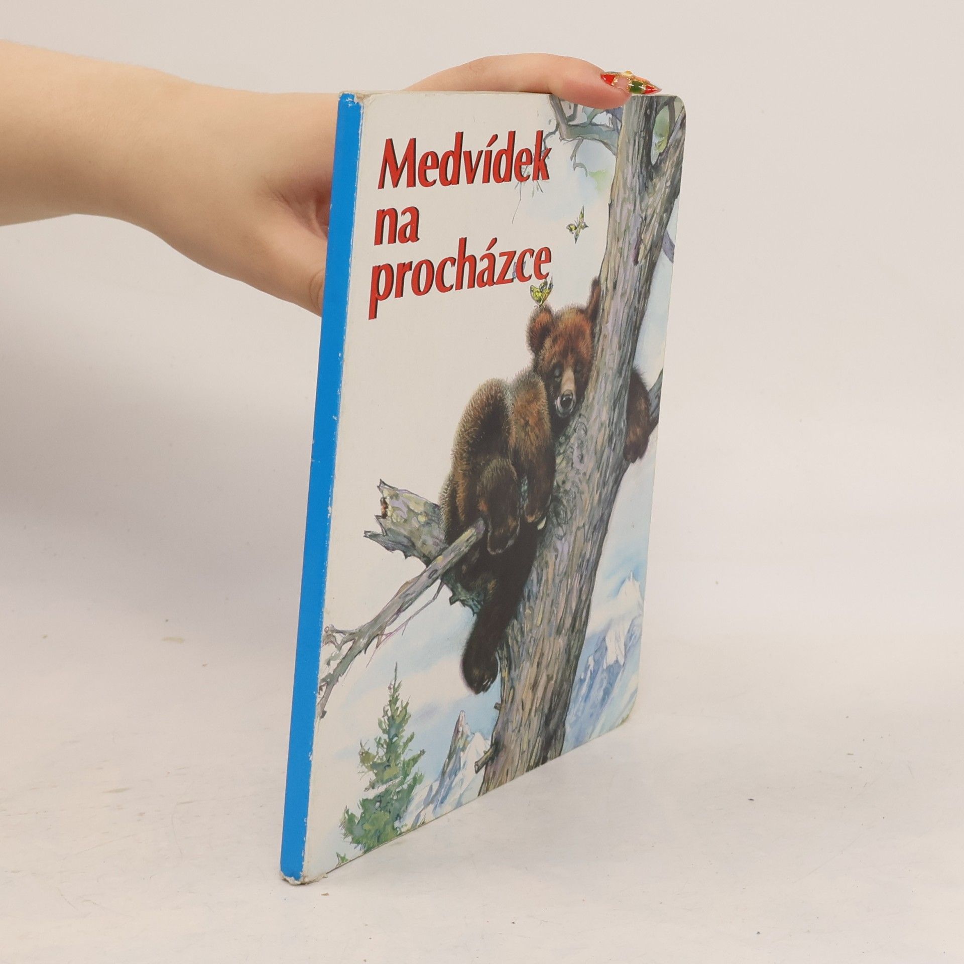Kolektiv autorů Medvídek na procházce