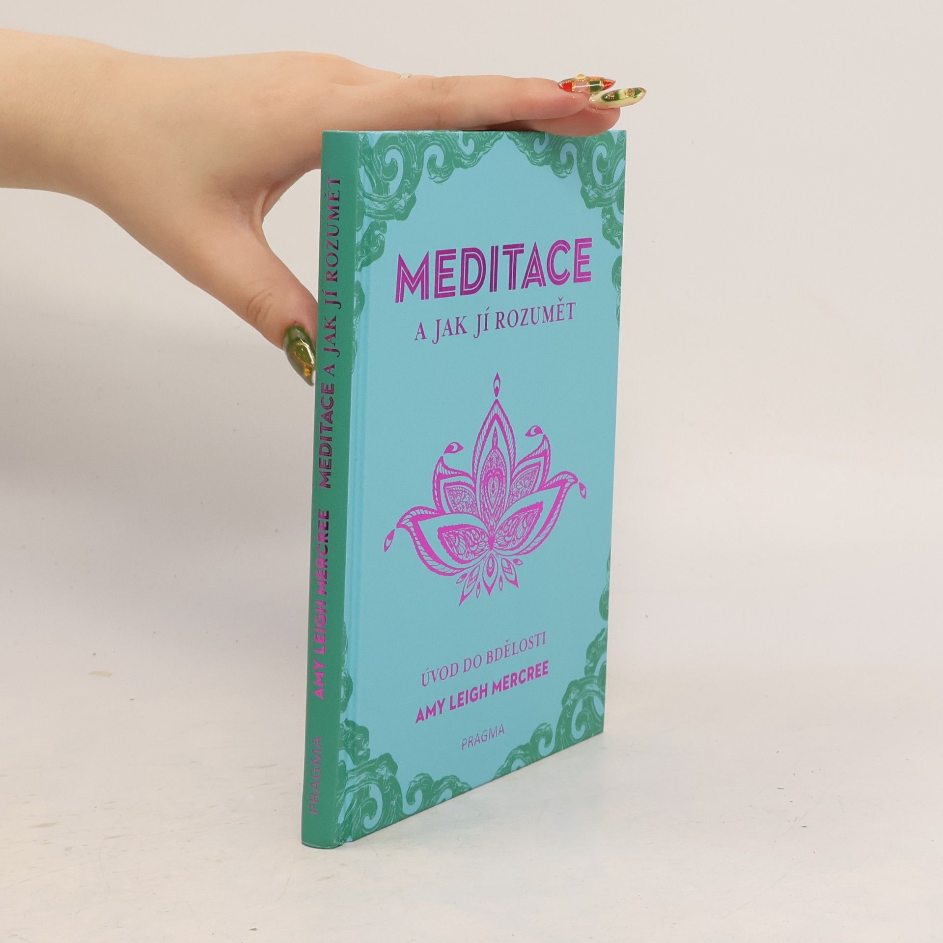 Amy Leigh Mercree Meditace a jak jí rozumět - Úvod do bdělosti