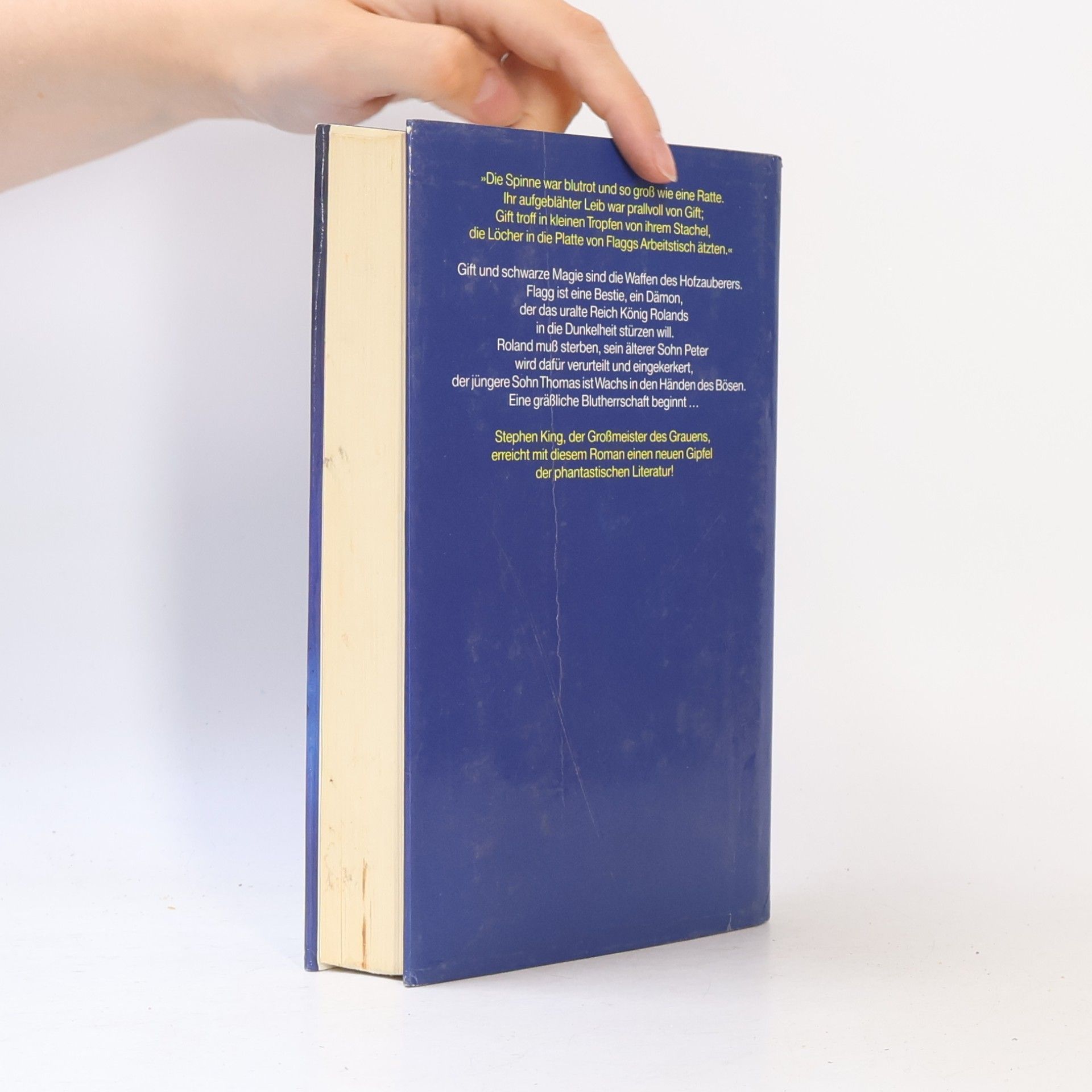 Stephen King Die Augen des Drachen