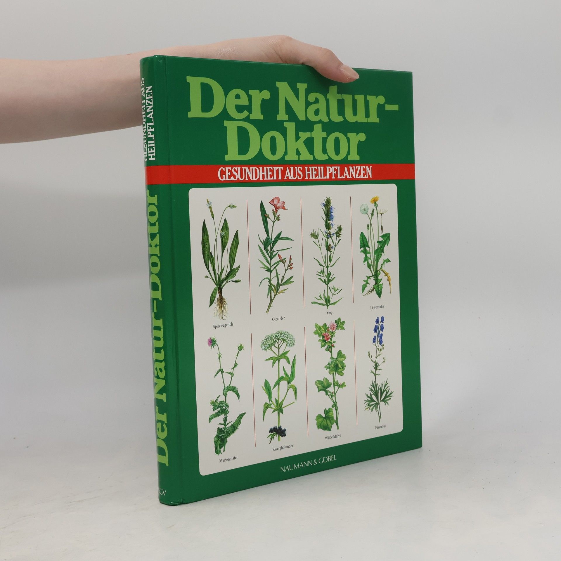 Jürgen Saupe Der Naturdoktor
