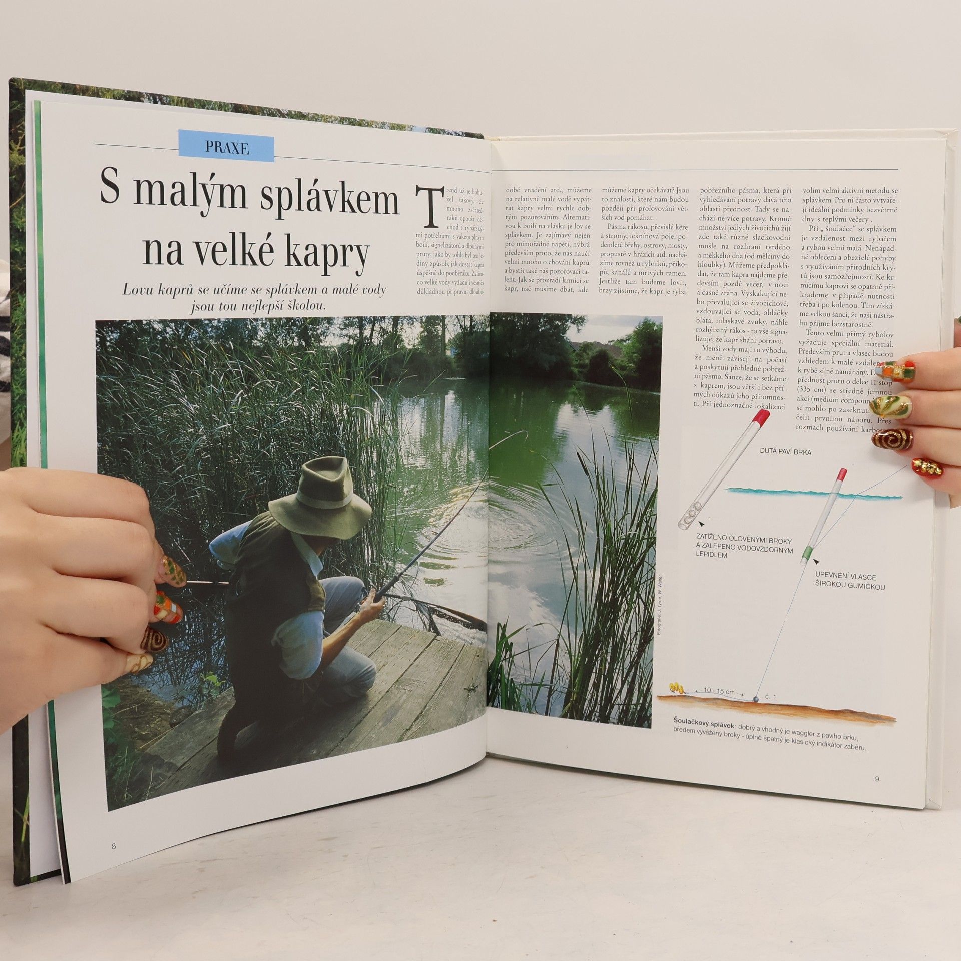 Kolektiv autorů Jak se loví kapr
