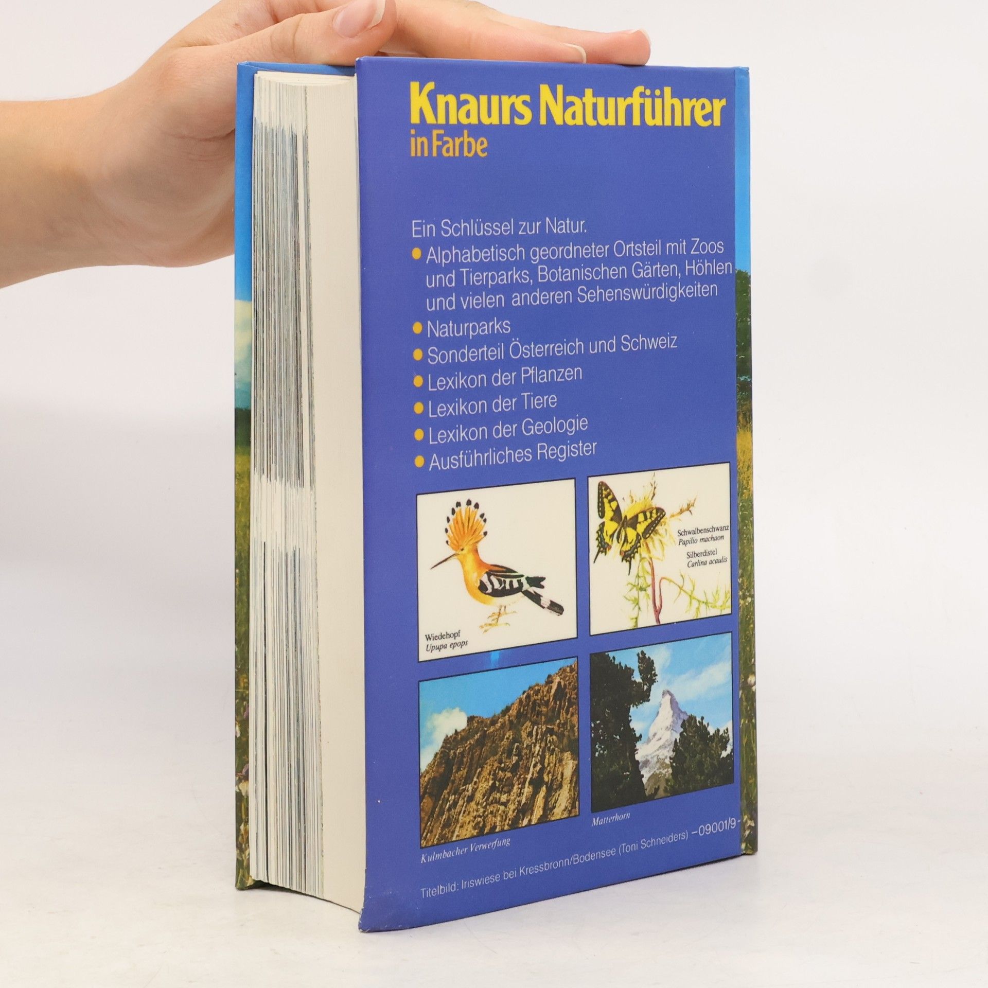 Autorenkollektiv Knaurs Naturführer in Farbe