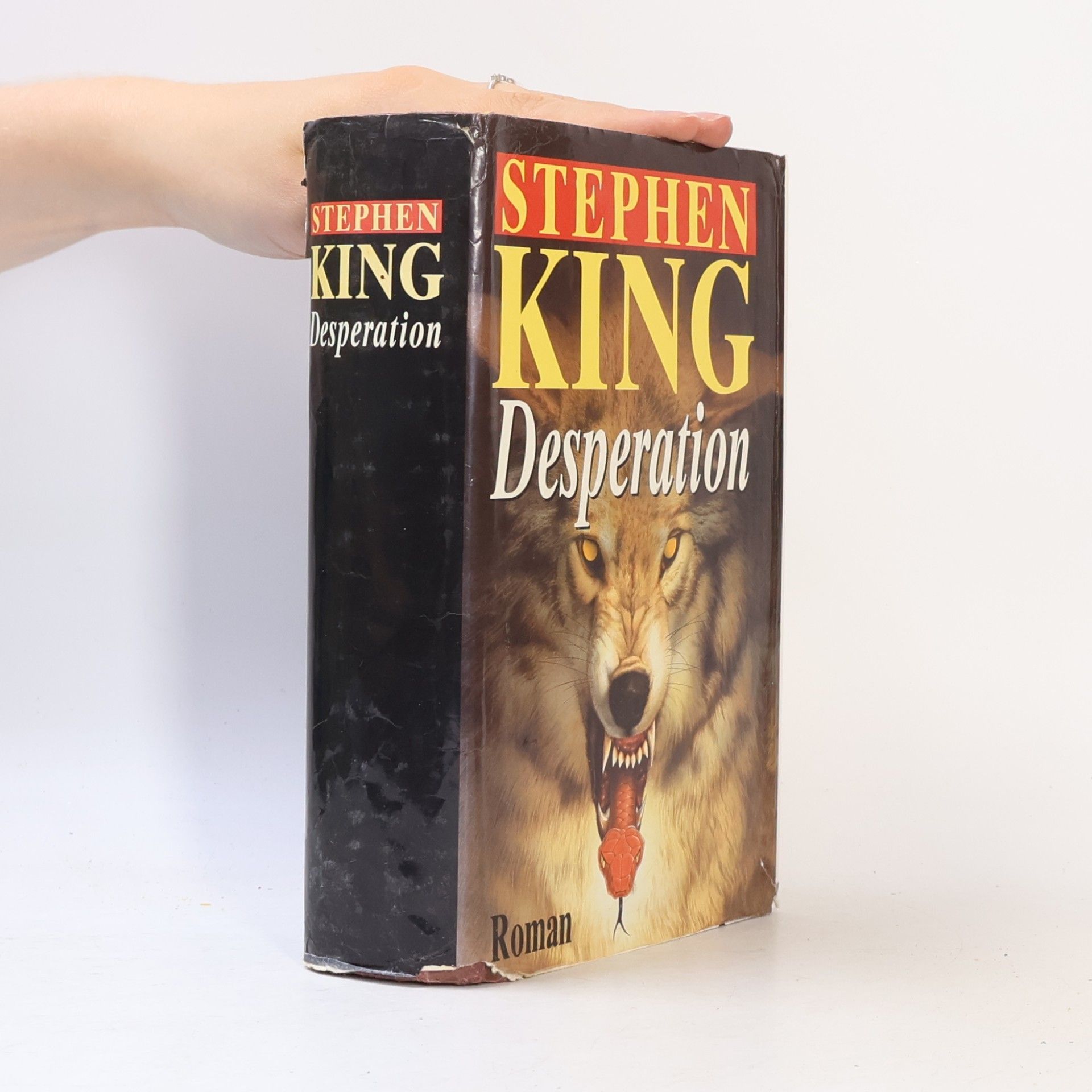 Stephen King Desperation