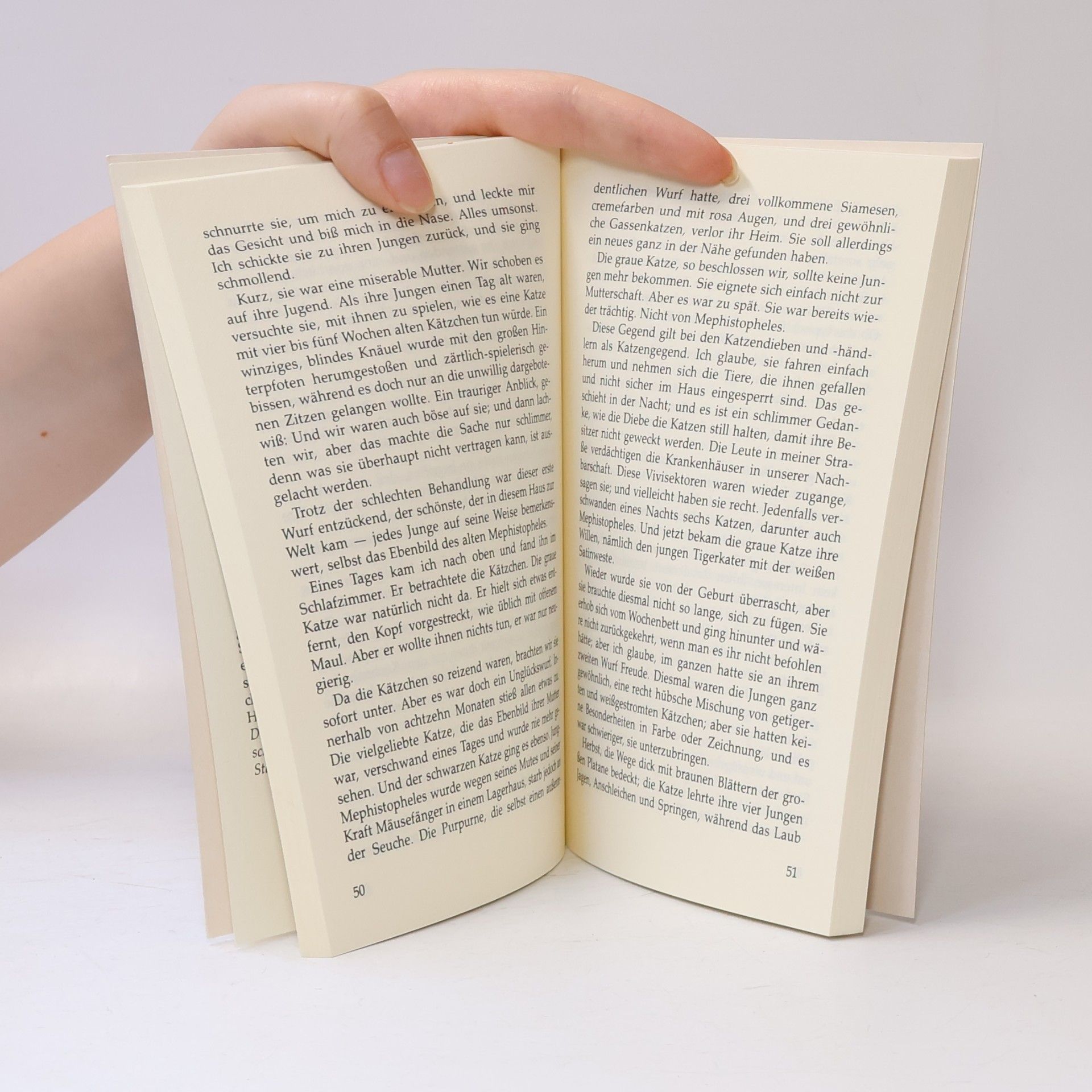 Doris Lessing Katzenbuch