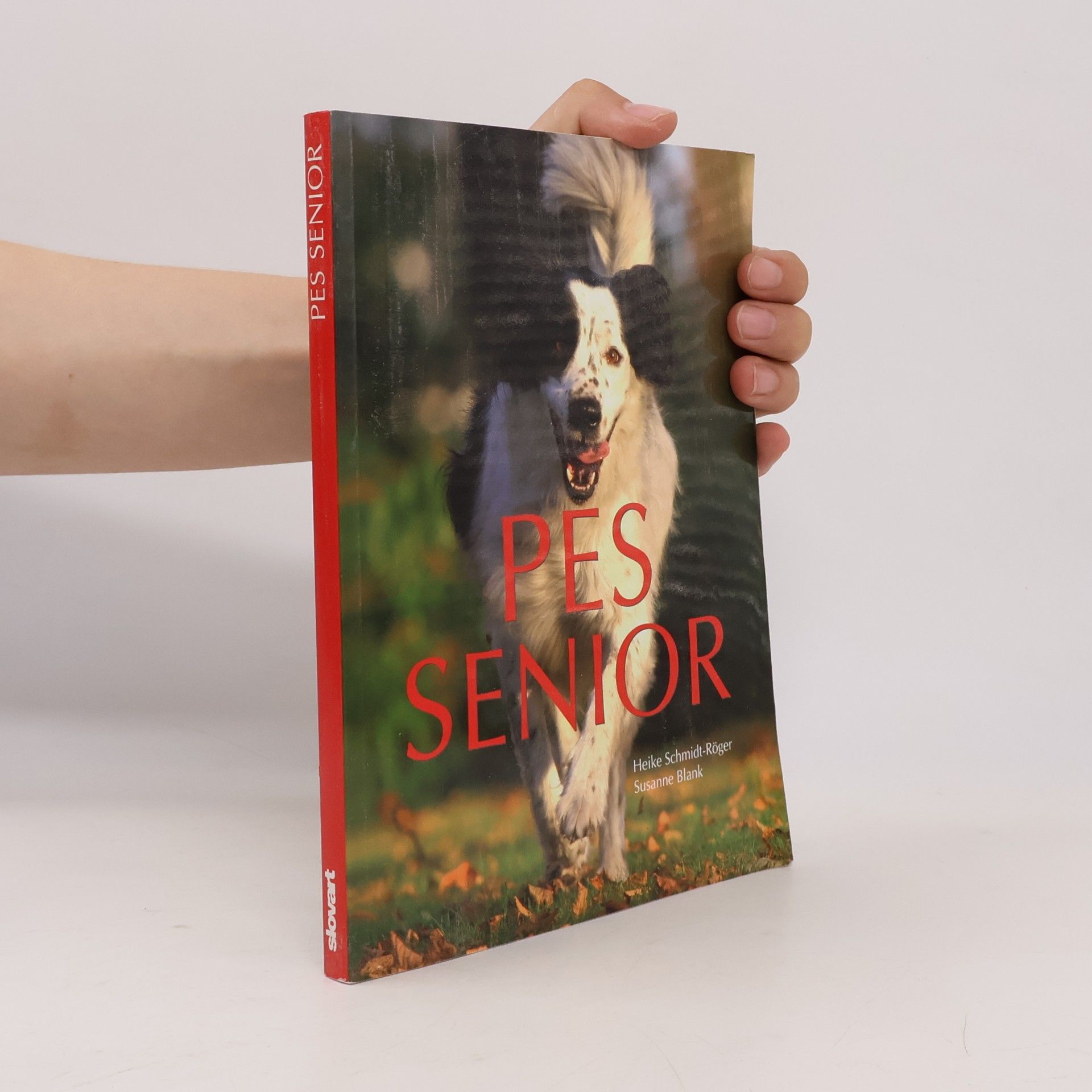 Pes senior