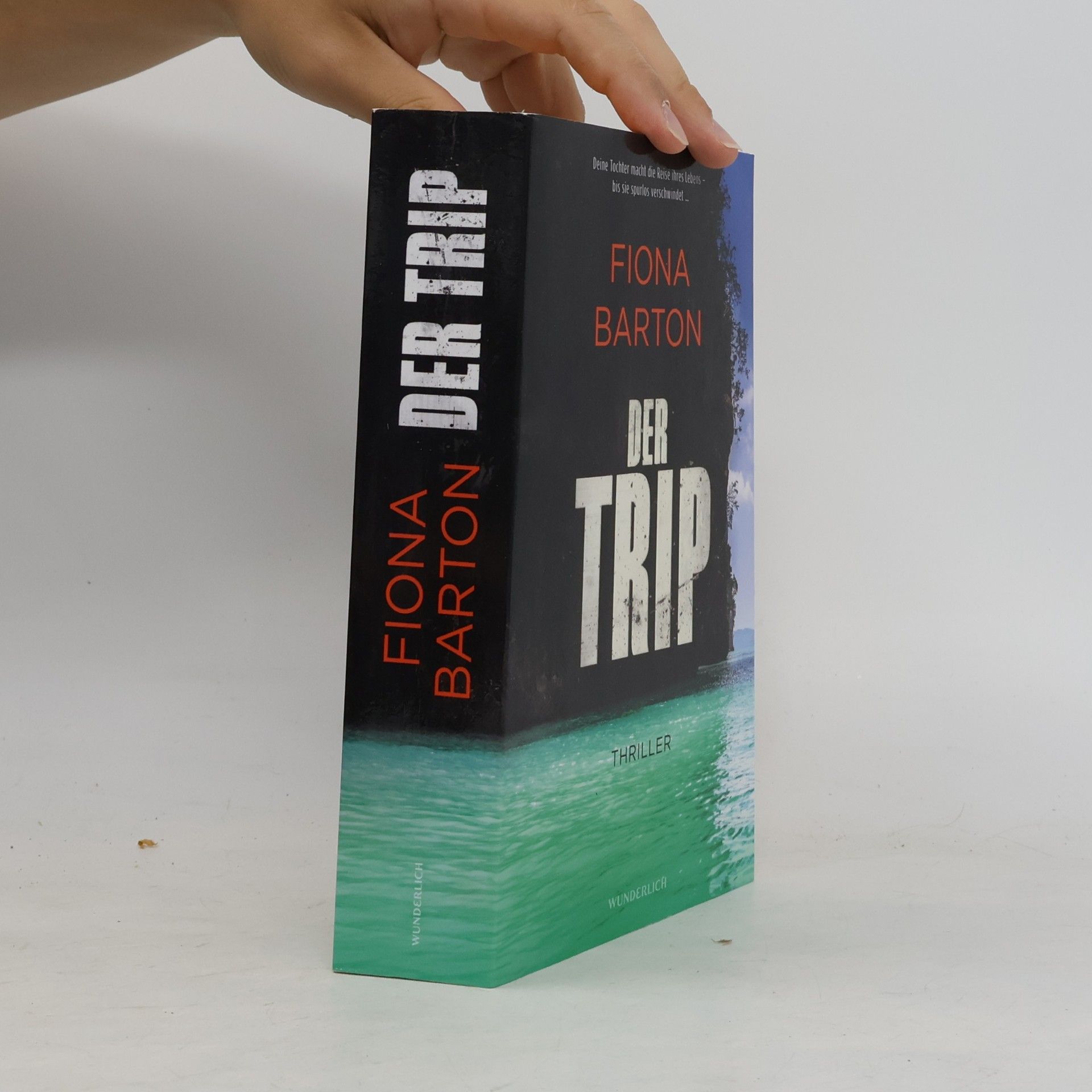 Fiona Barton Der Trip