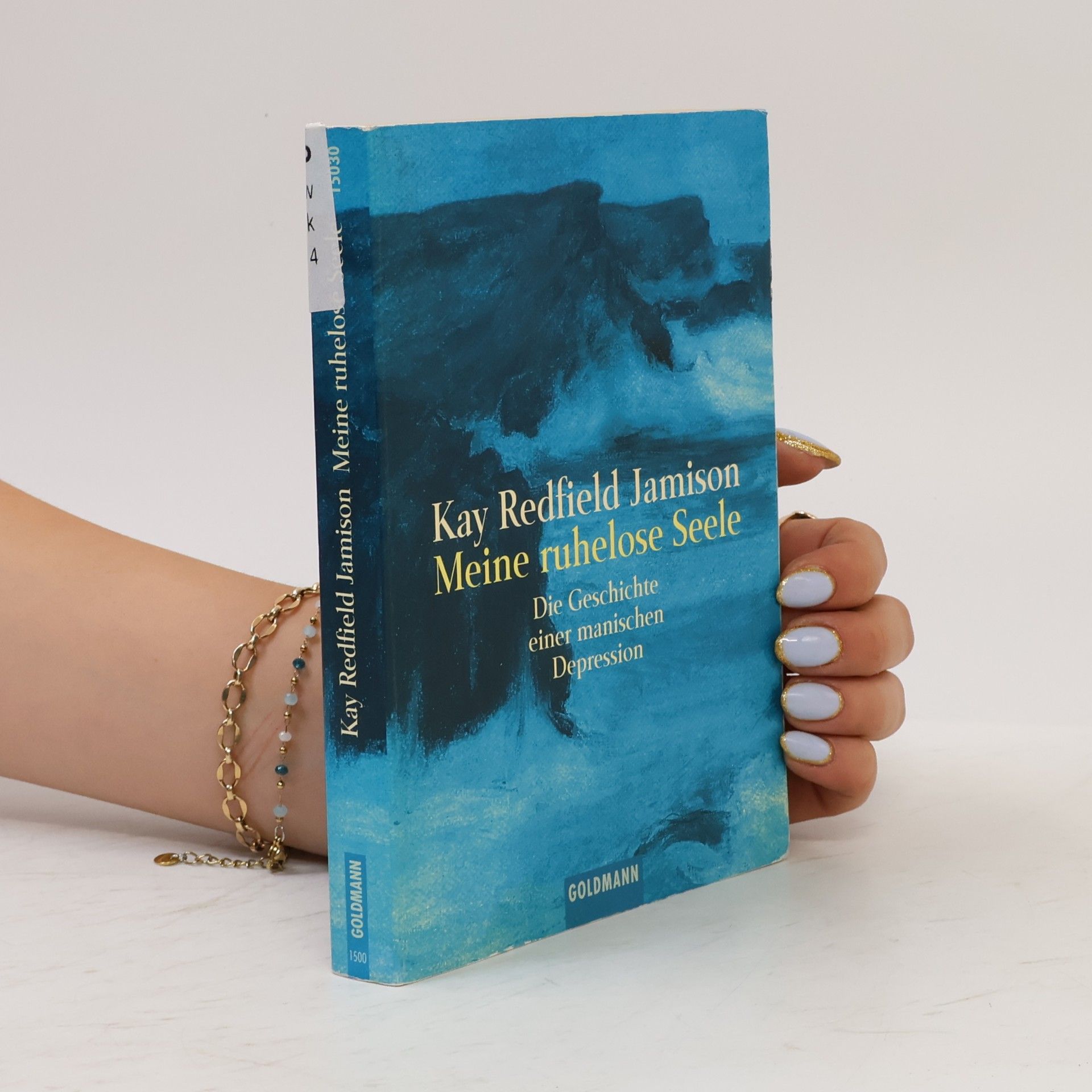 Kay Redfield Jamison Meine ruhelose Seele