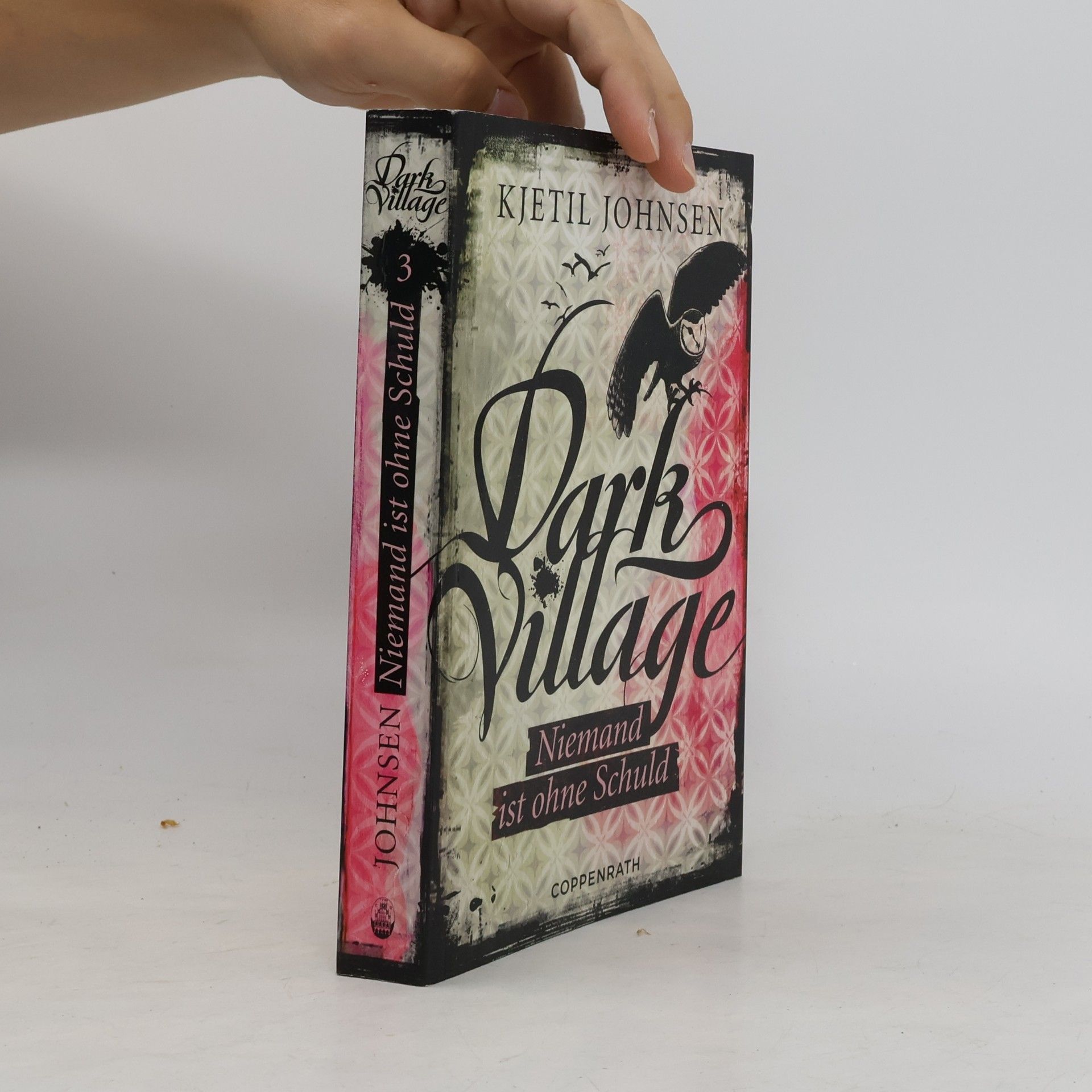 Kjetil Johnsen Dark Village 03 - Niemand ist ohne Schuld