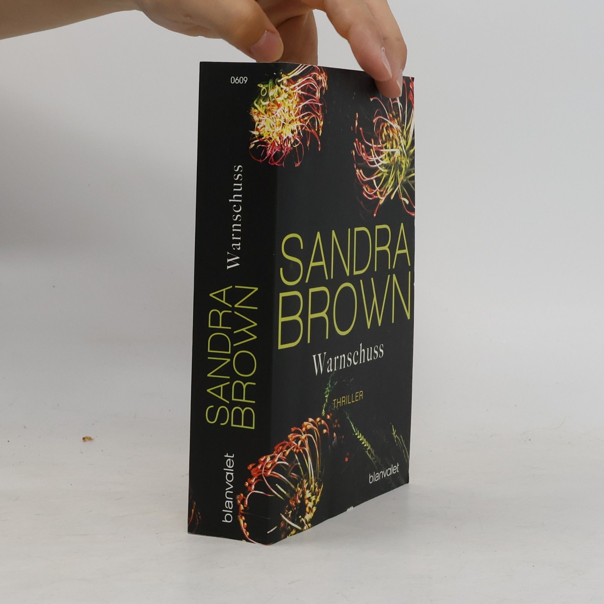 Sandra Brown Warnschuss