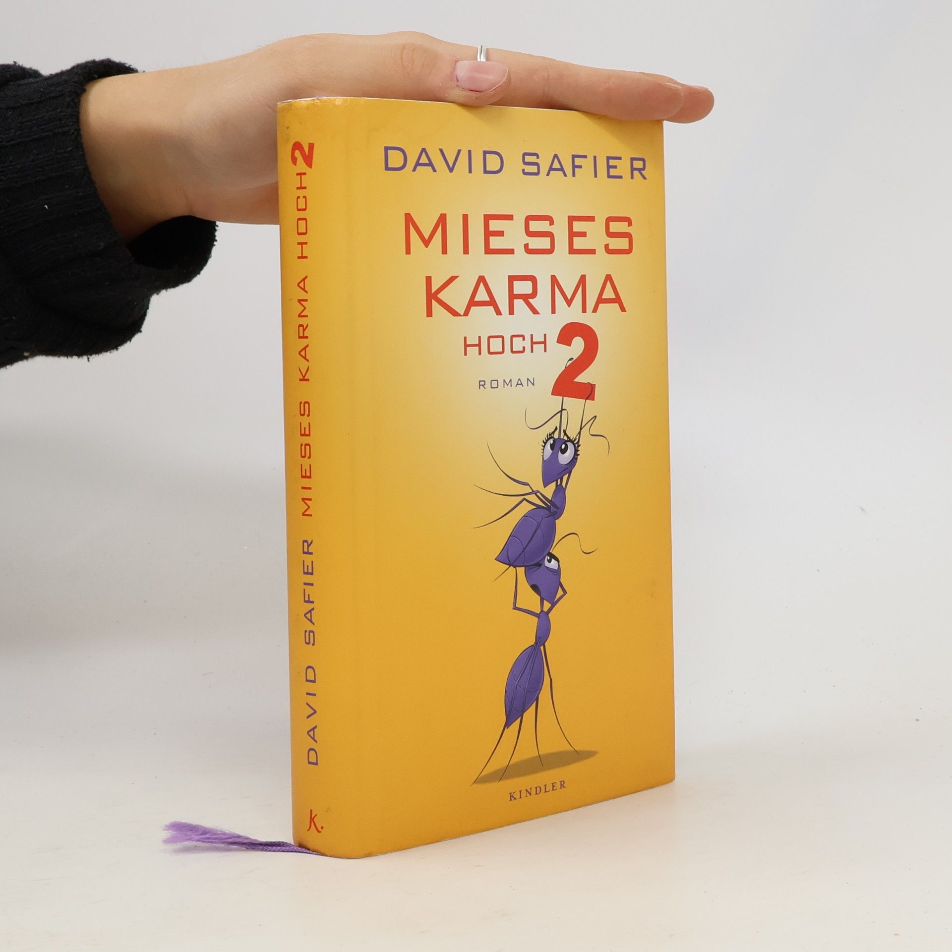 David Safier Mieses Karma hoch 2