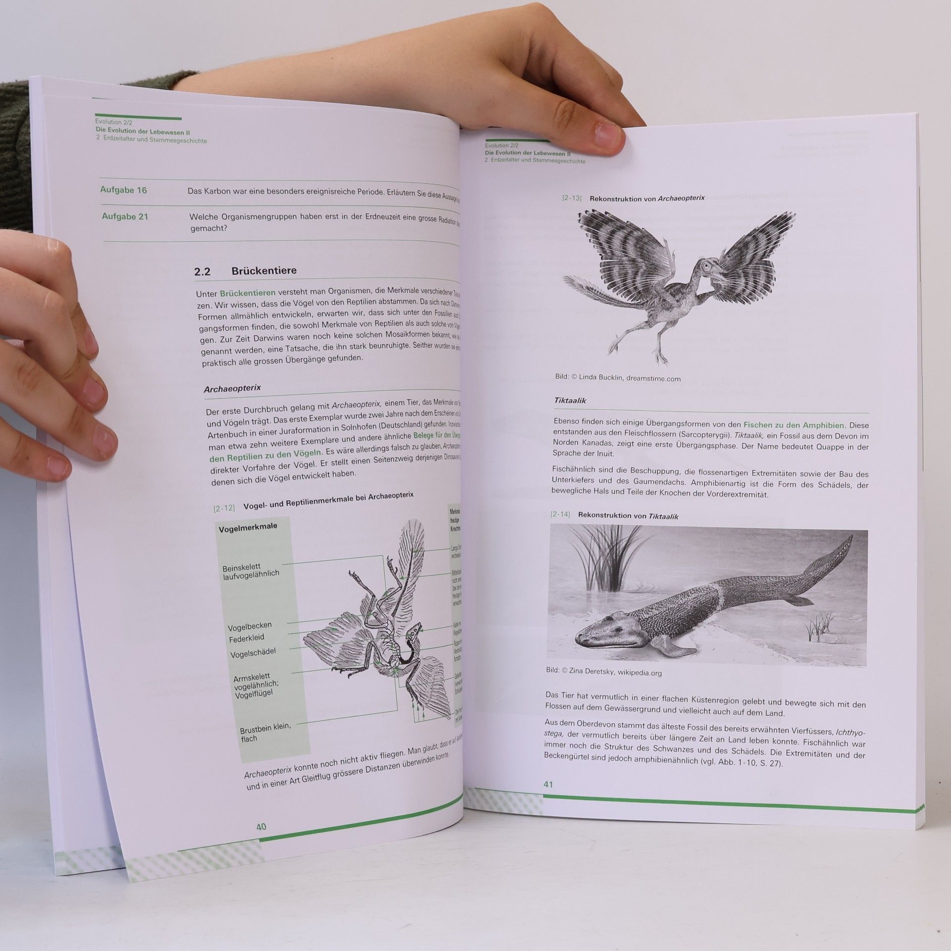 Max Schneider Biologie Evolution 2