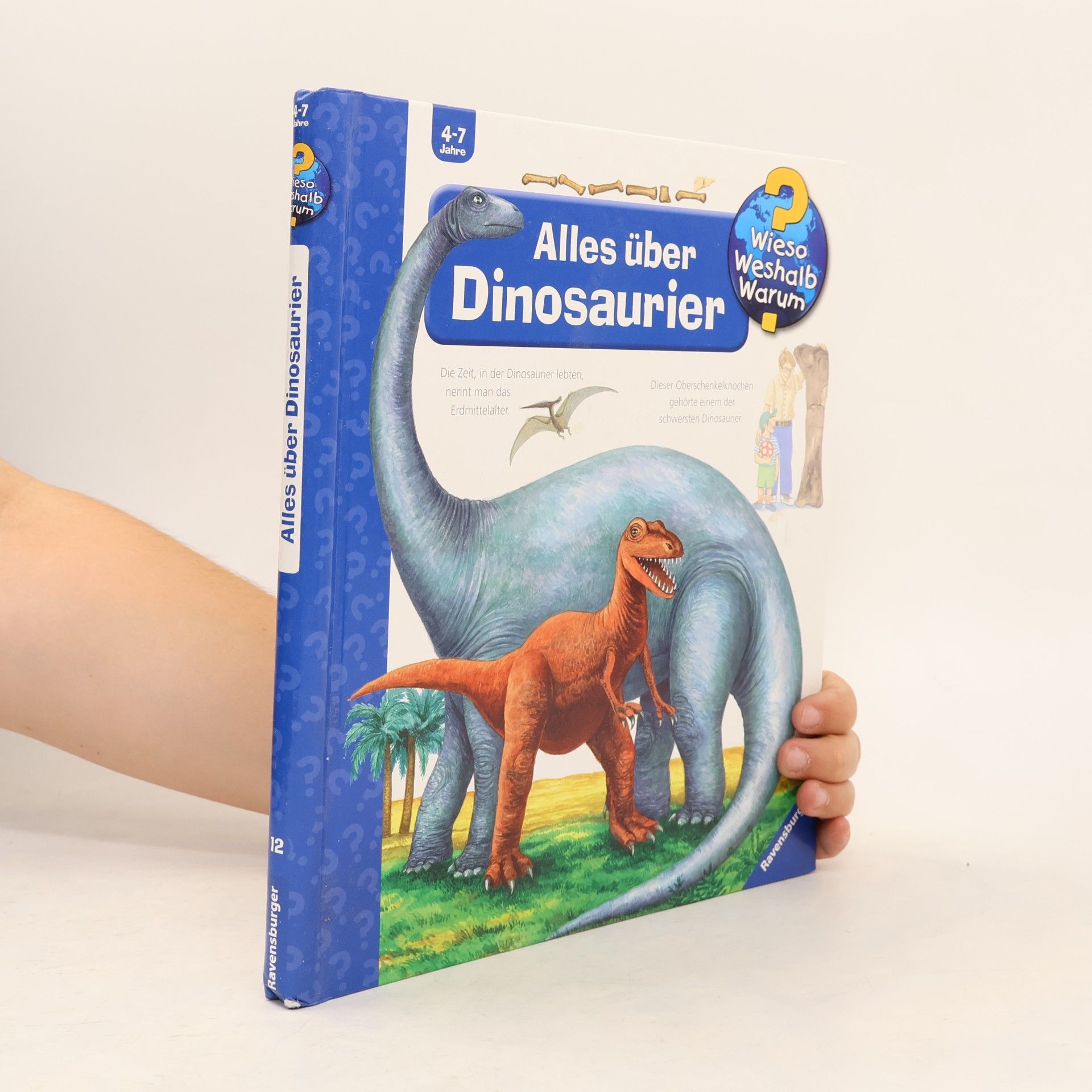 Kolektiv autorů Alles über Dinosaurier