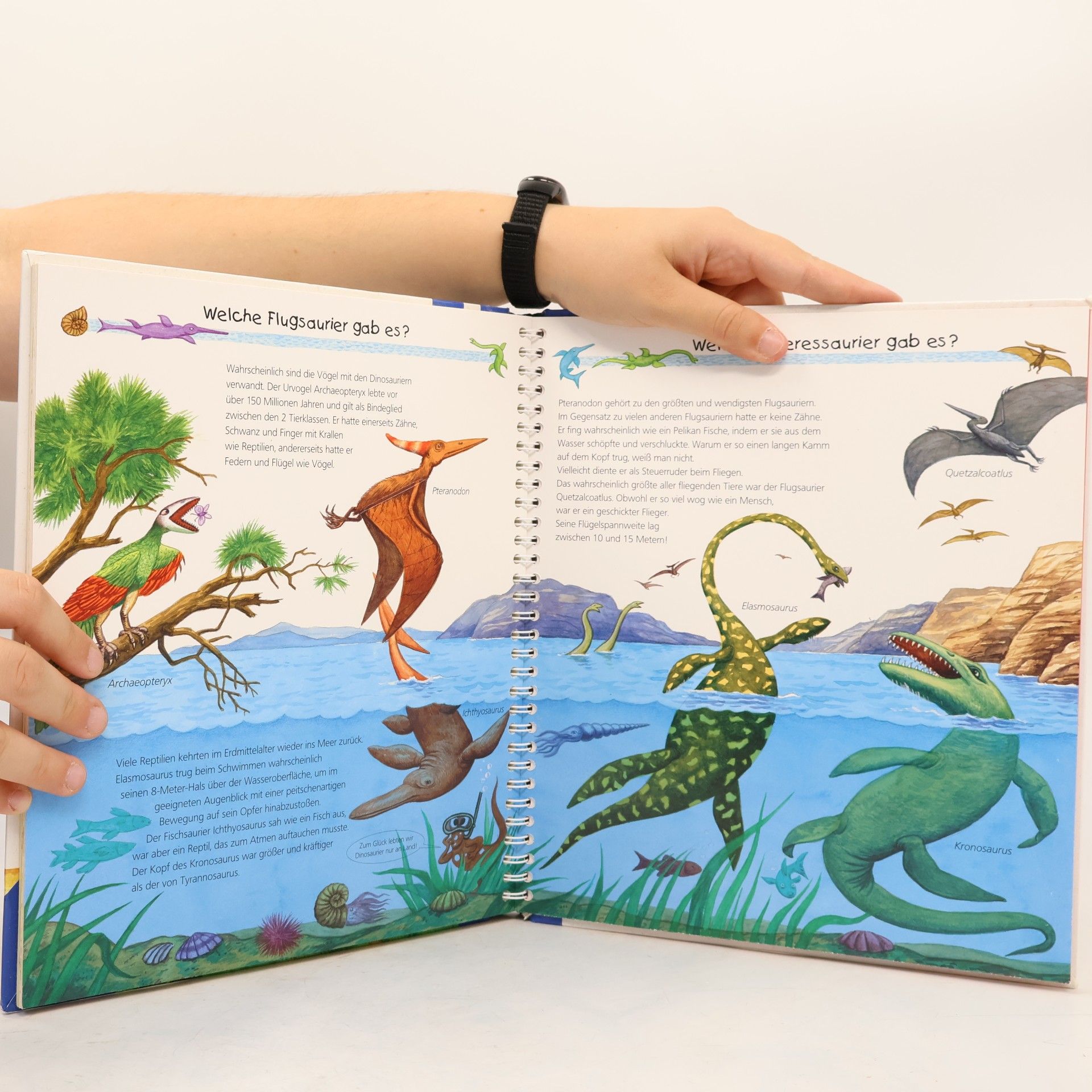 Kolektiv autorů Alles über Dinosaurier