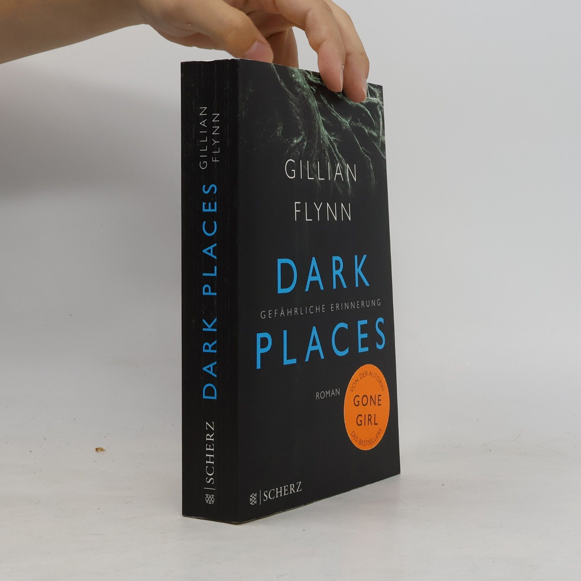 Gillian Flynn Dark places