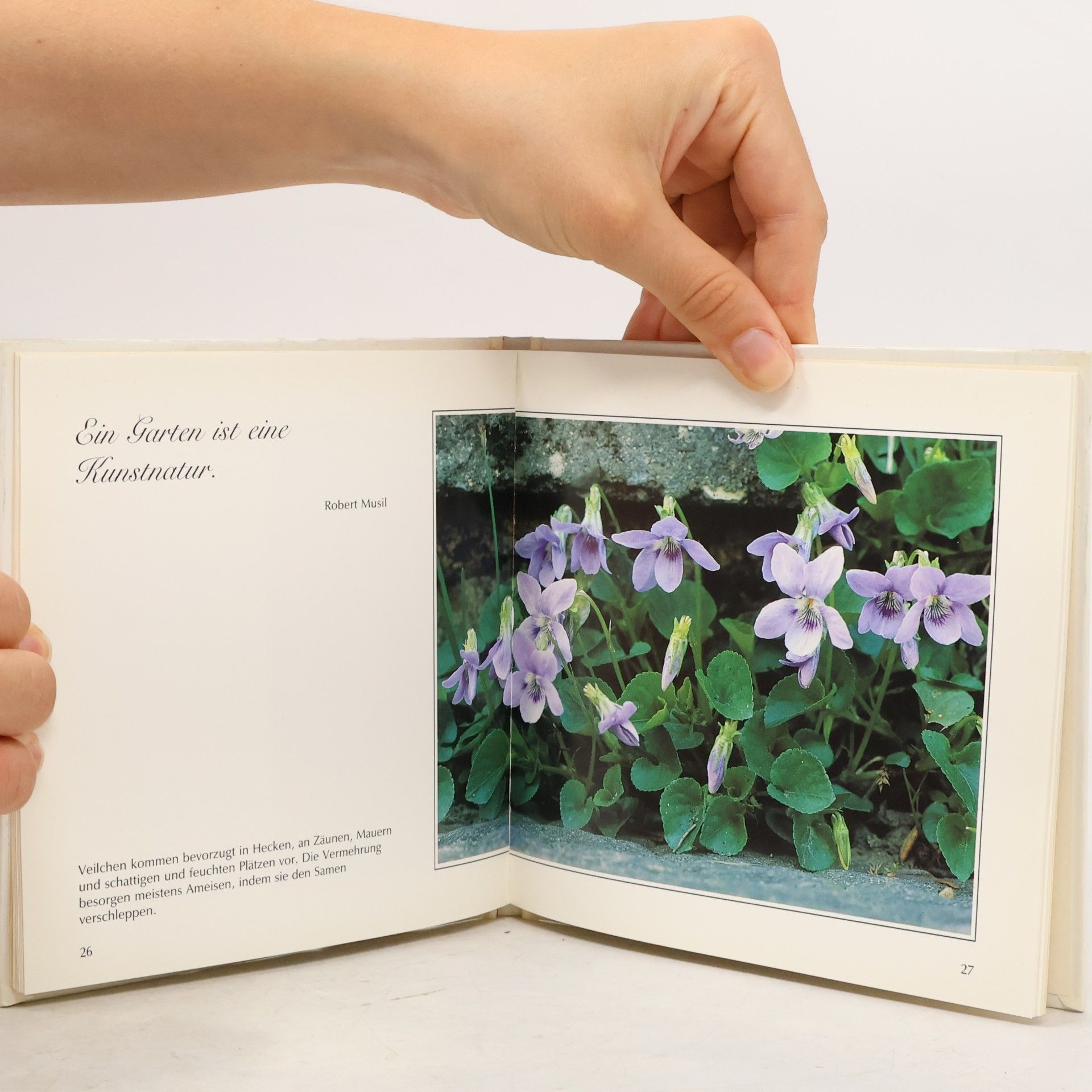 Edition Albert Schwarz: Freude an Wildblumen