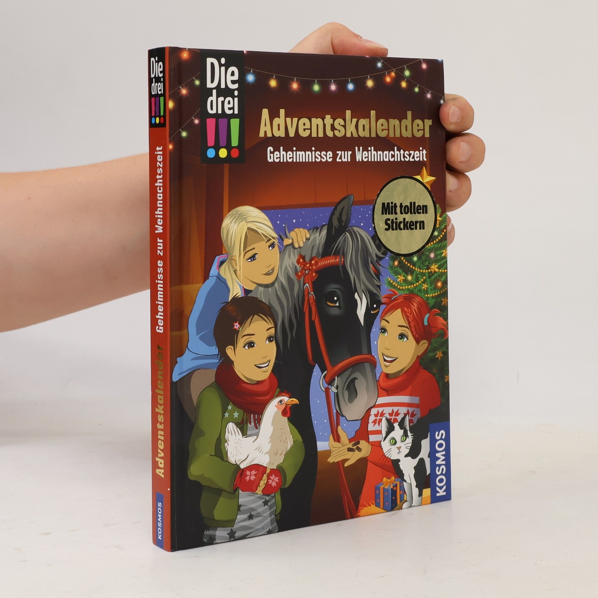Maja von Vogel Die drei !!!, Geheimnisse zur Weihnachtszeit